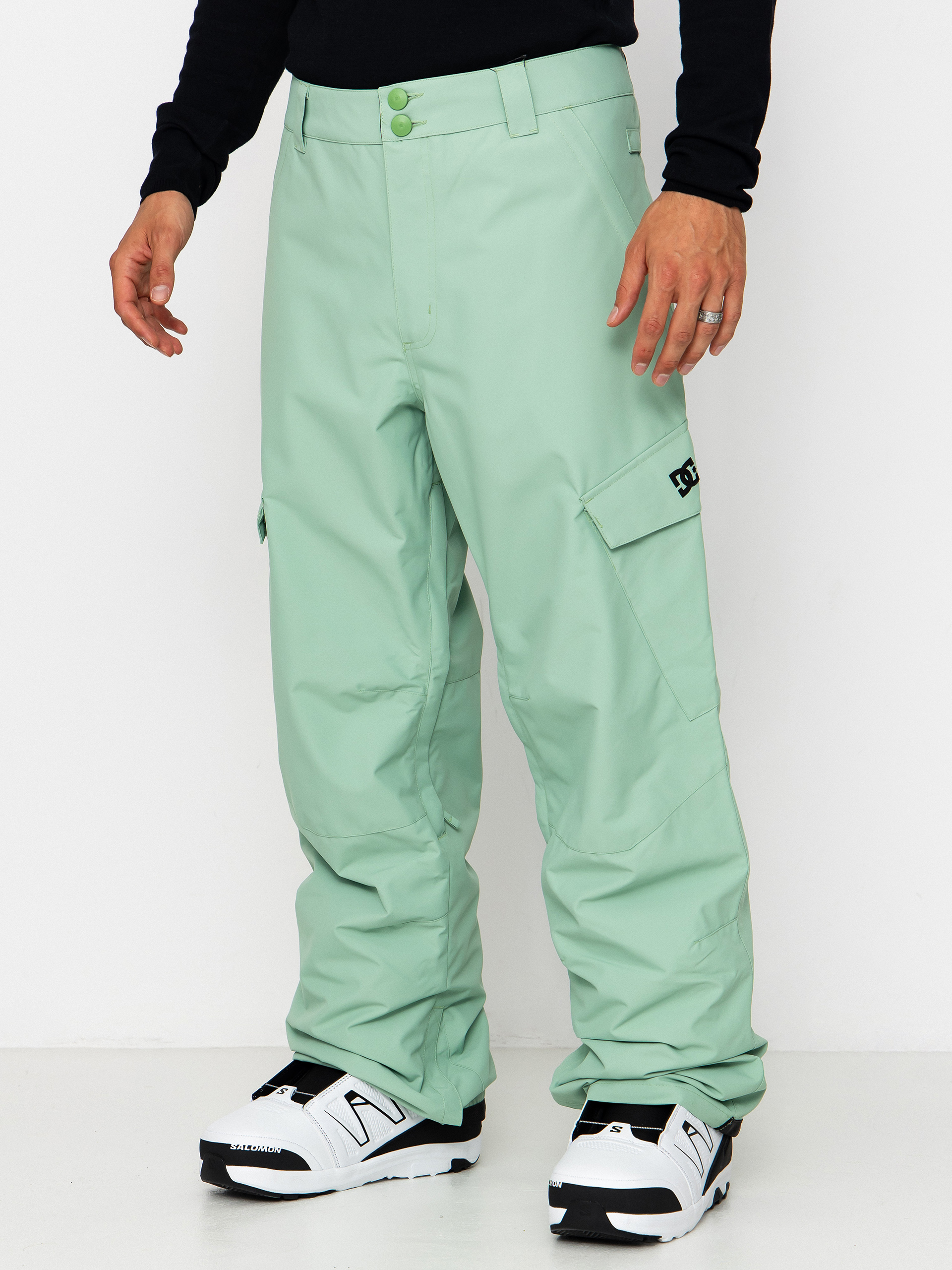 Mens DC Snowboard pants Banshee (basil)