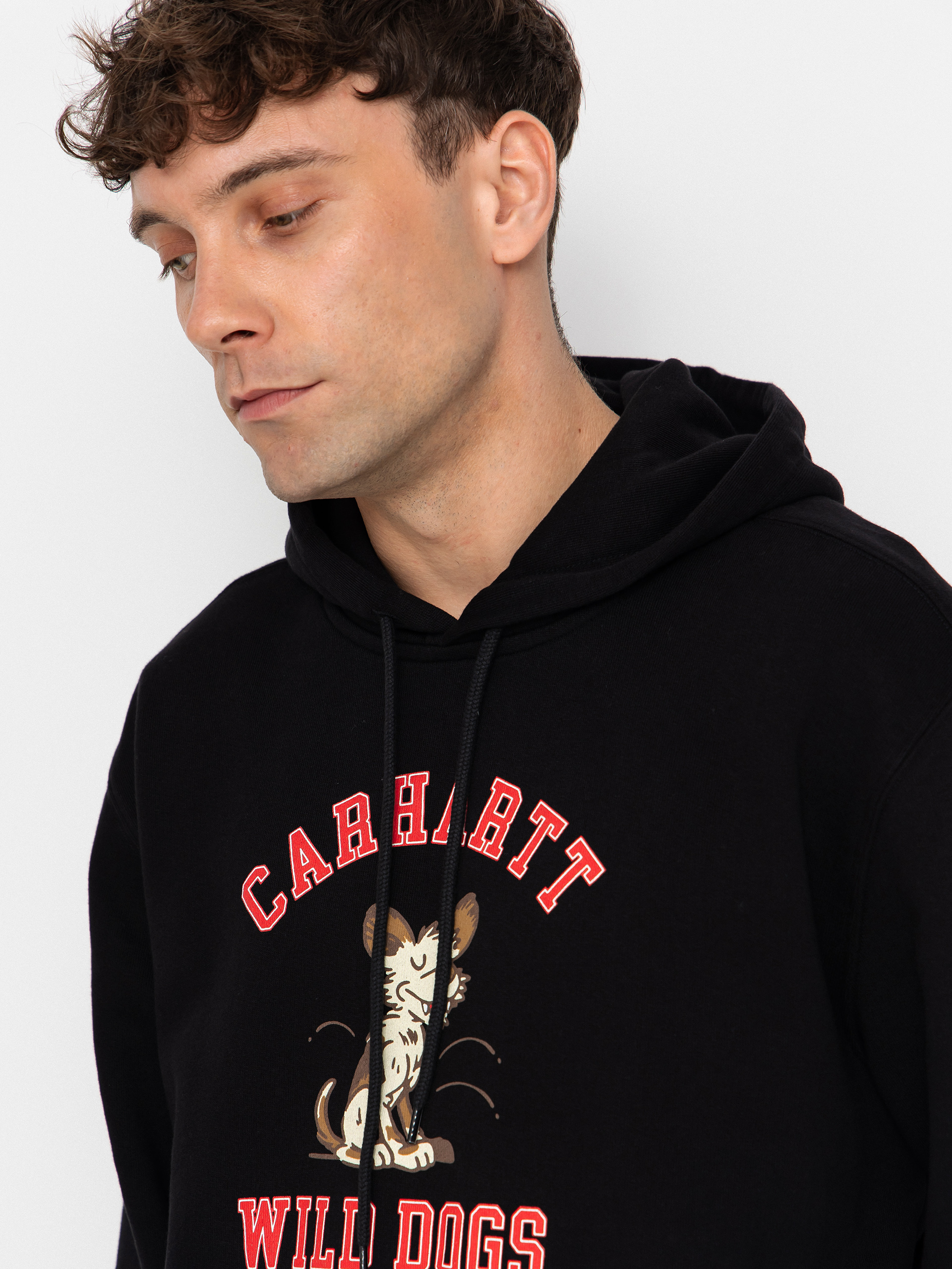 Carhartt WIP Hoodie Wild Dog HD (black)