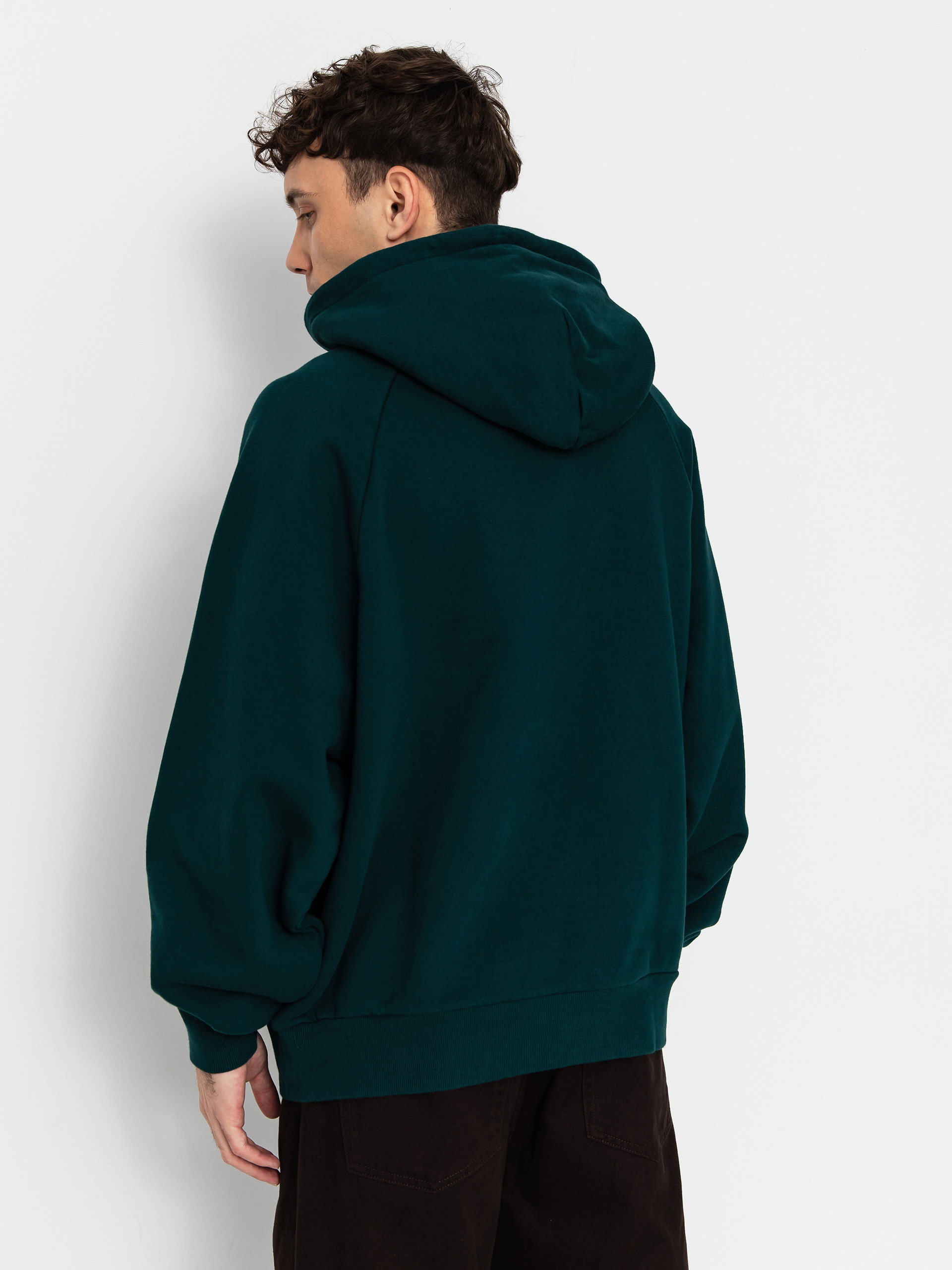 Carhartt WIP Hoodie Ray HD (dark fir)