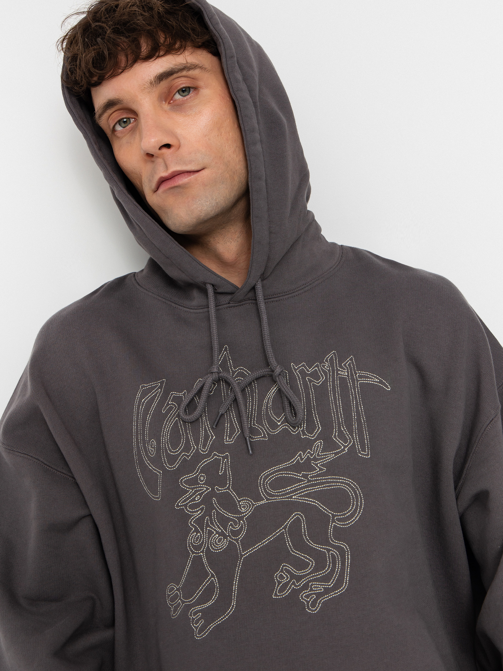 Carhartt WIP Hackwork HD Hoodie (porphyry/fleur de sel)