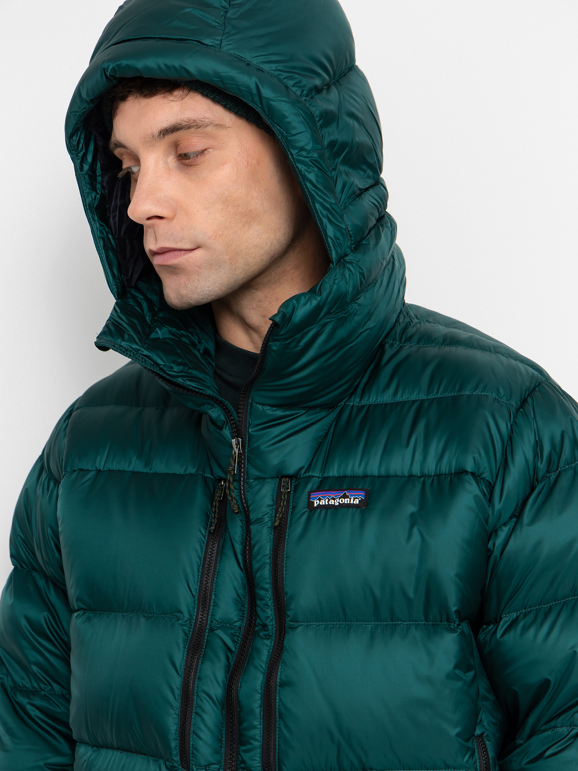 Patagonia Fitz Roy Down HD Jacke (cascade green)