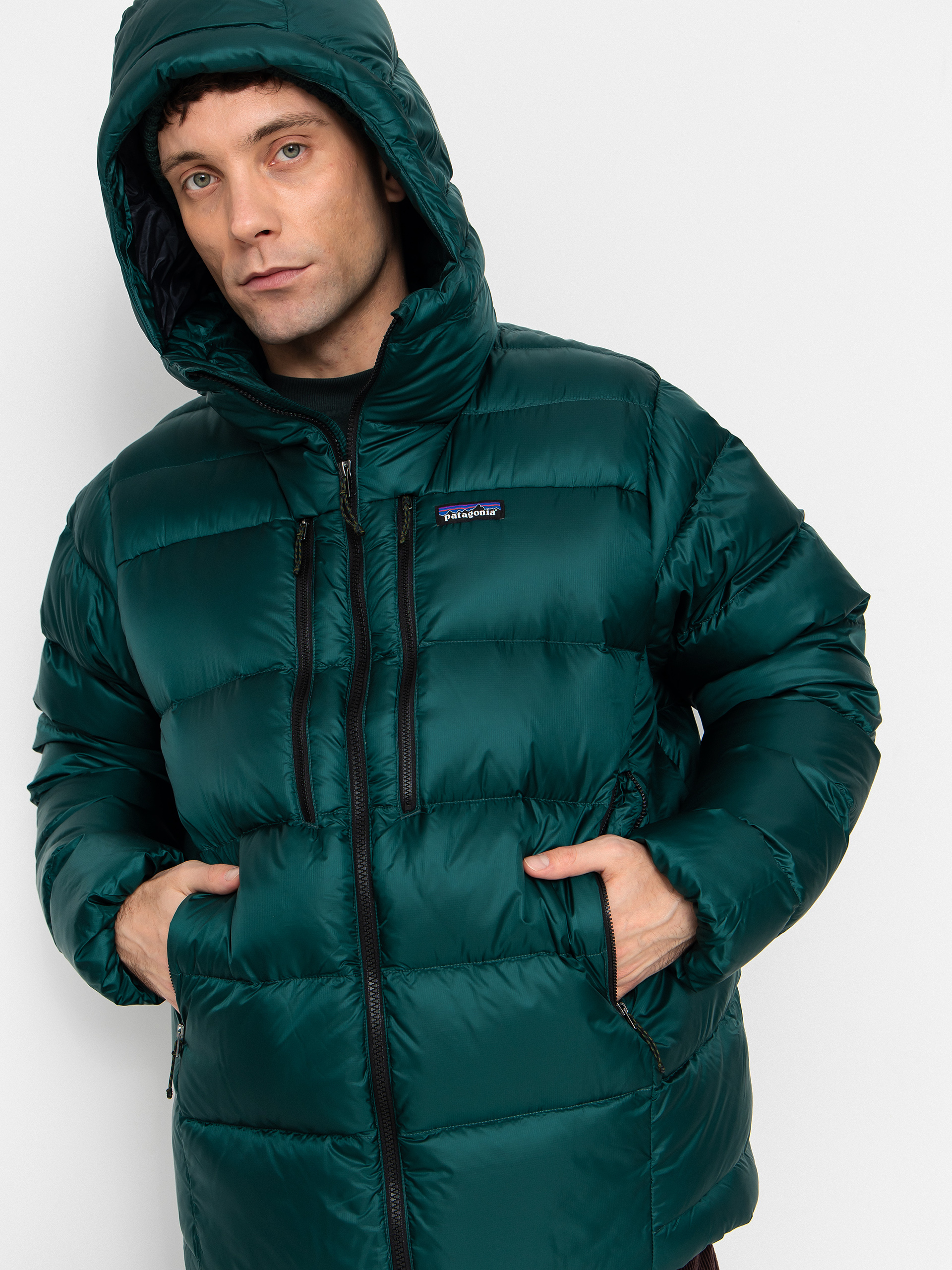 Patagonia Fitz Roy Down HD Jacke (cascade green)