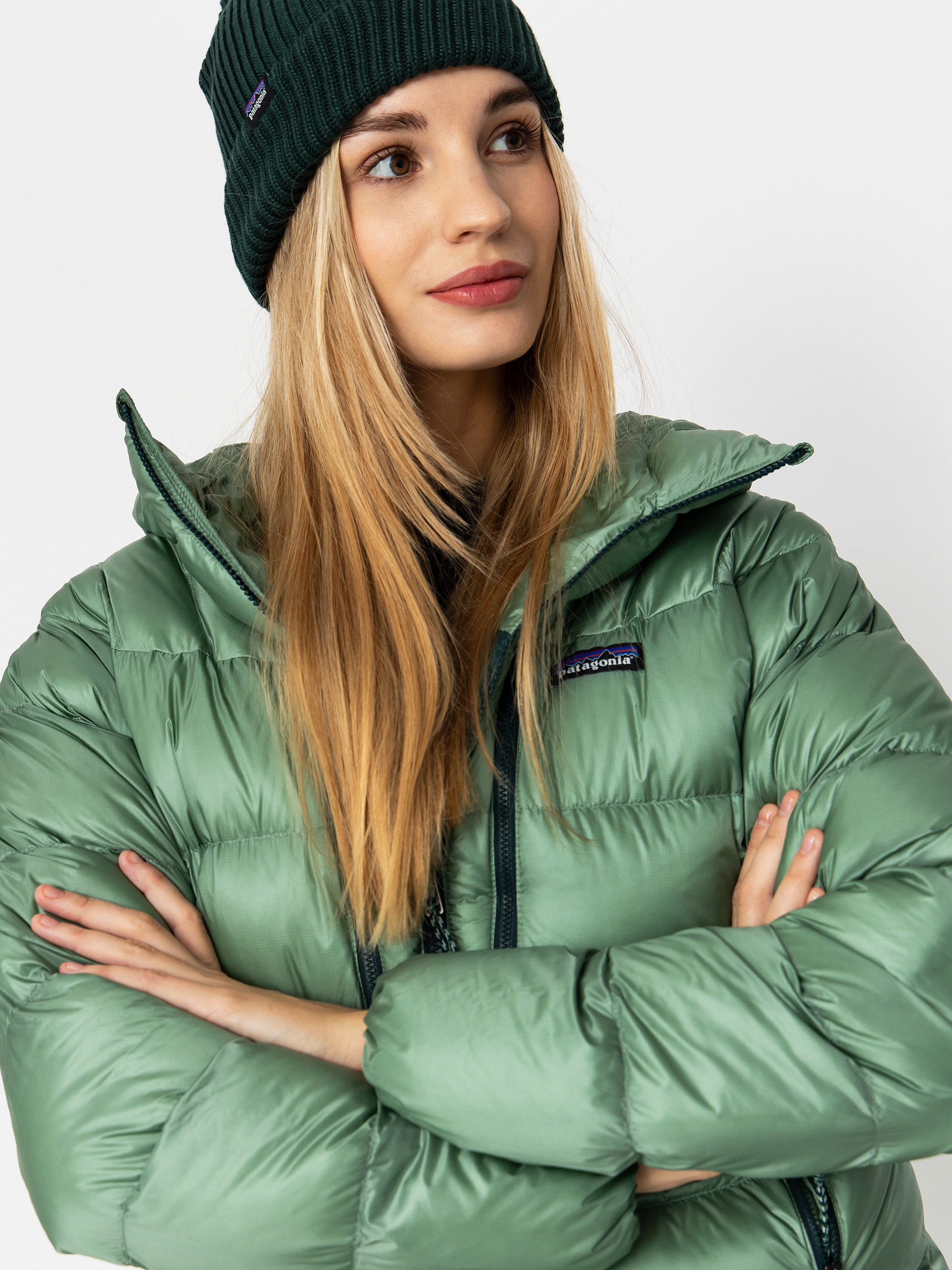 Patagonia Fitz Roy Down HD Wmn Jacke (ellwood green)
