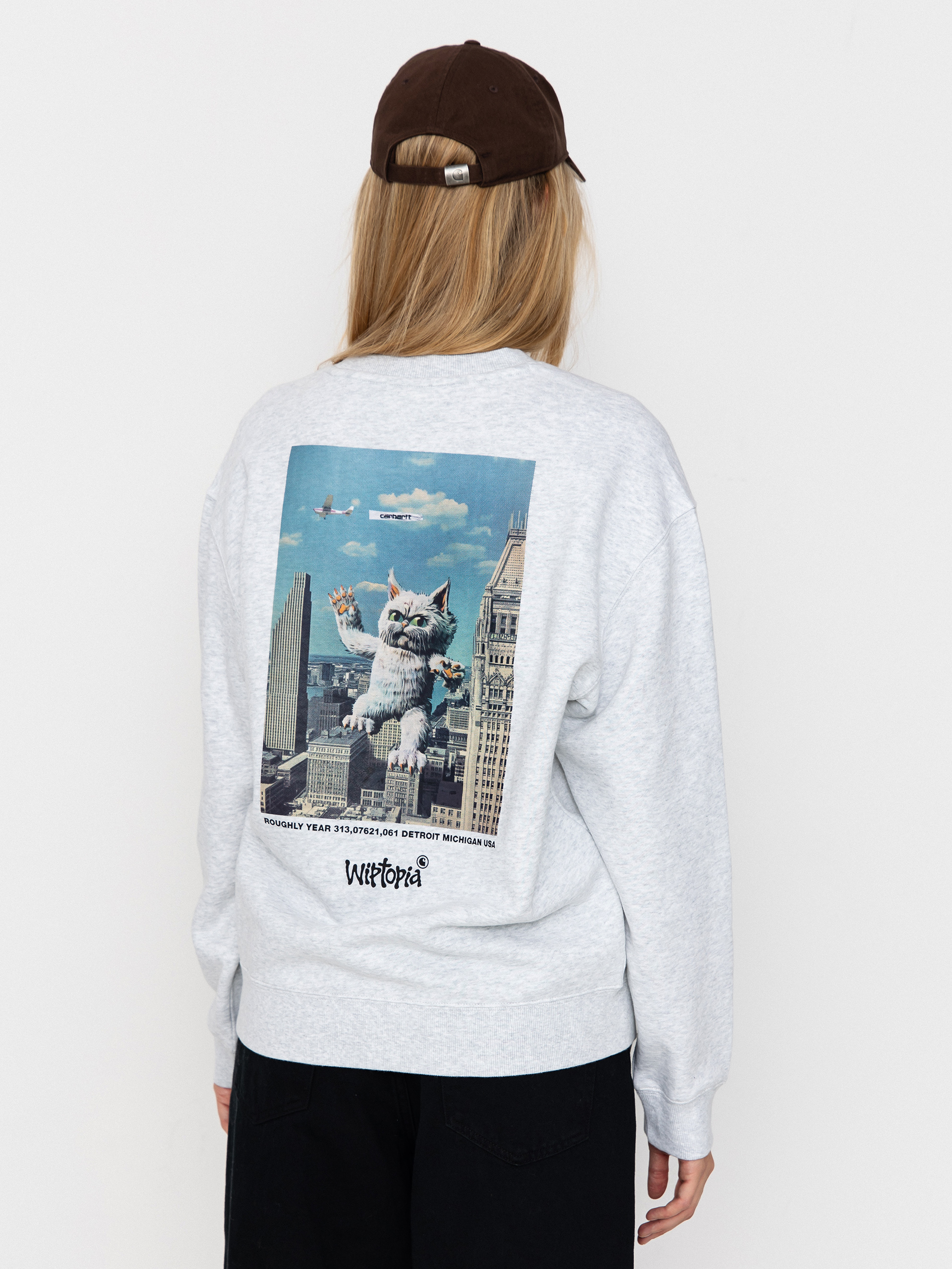 Carhartt WIP Wiptopia Script Wmn Sweatshirt (ash heather/dusky beige)