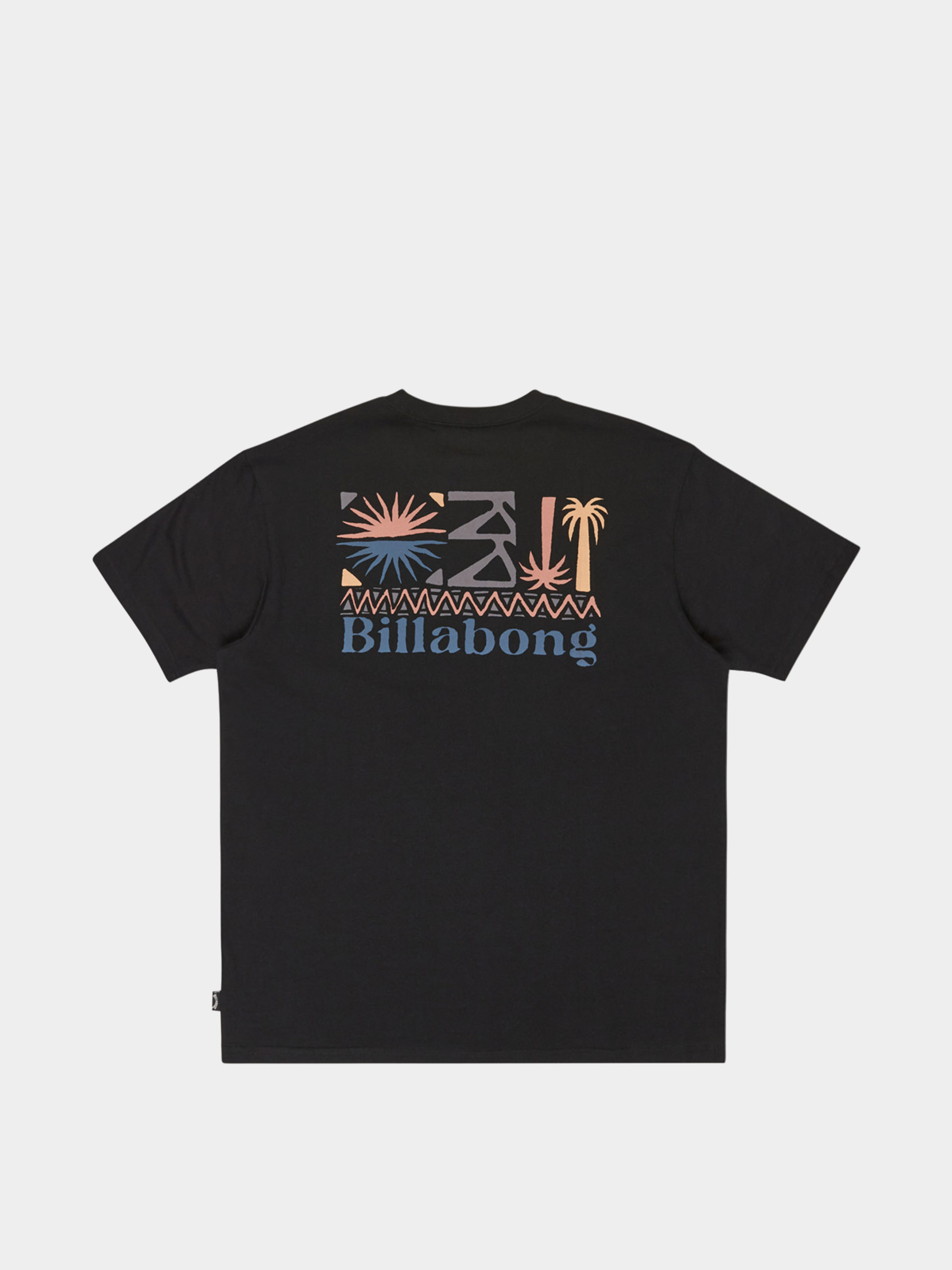 Billabong T-Shirt Segment (black)