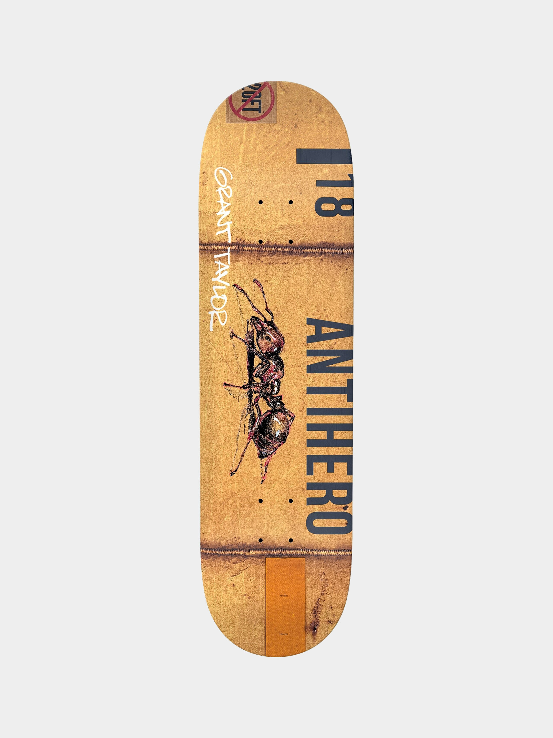 Antihero Deck Taylor Intermodal (assorted)