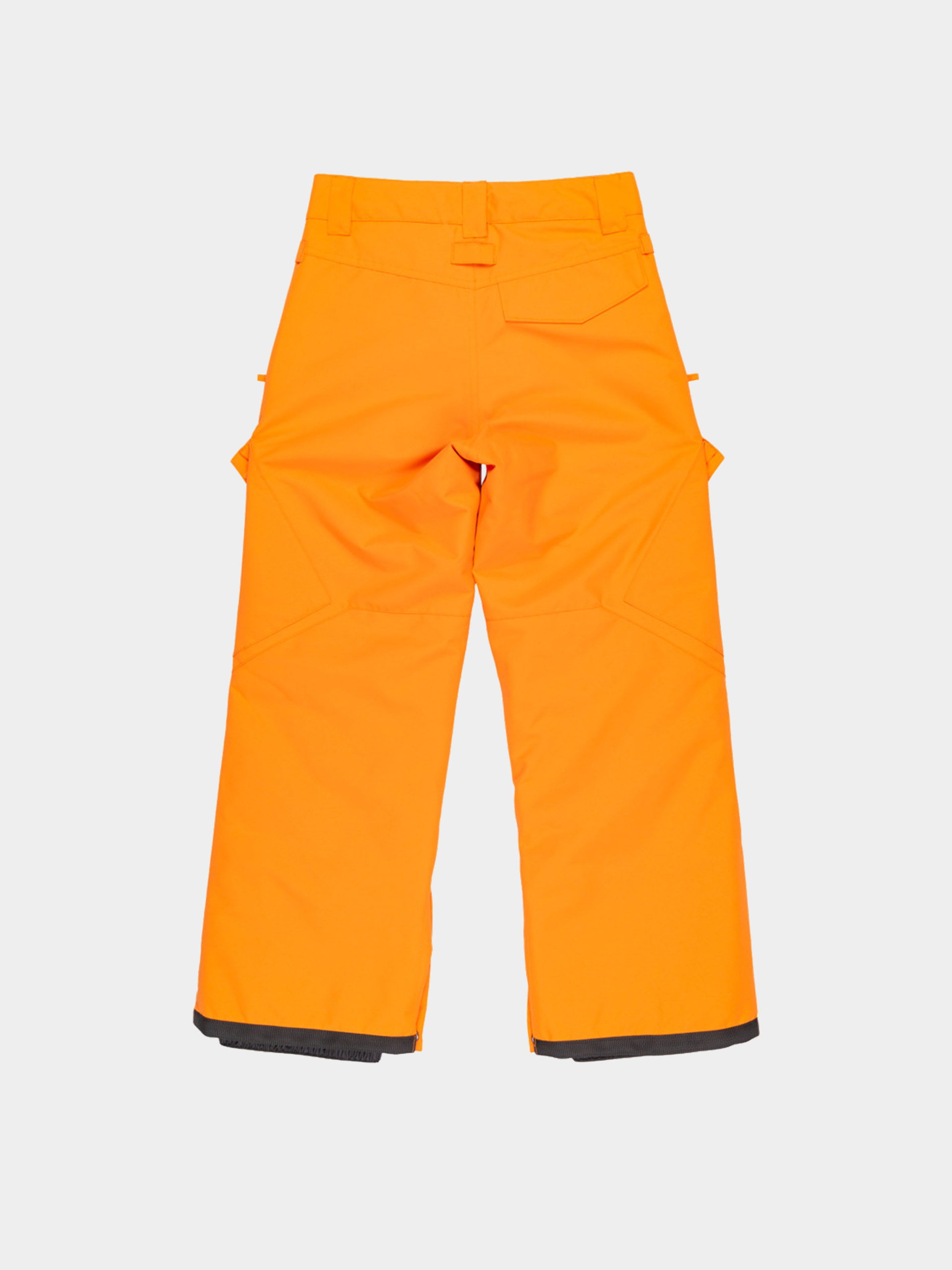 DC Snowboard pants Banshee JR (oriole)