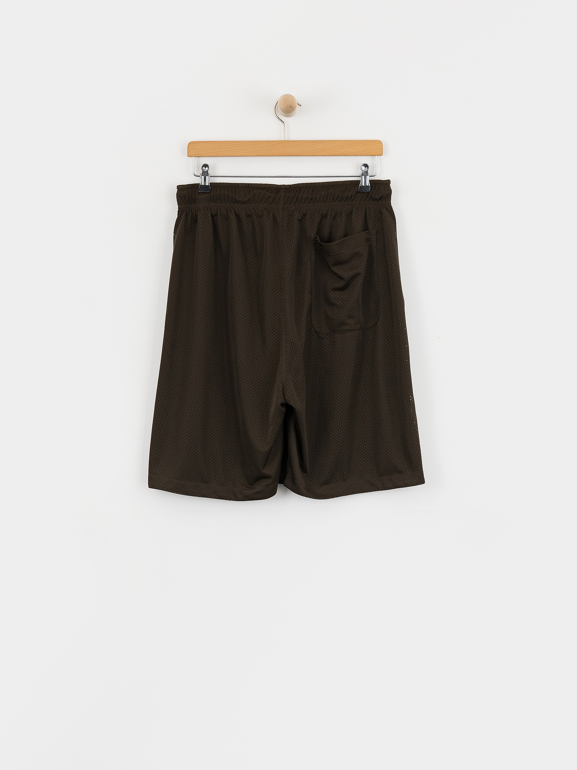 Polar Skate Ray Shorts (brown)