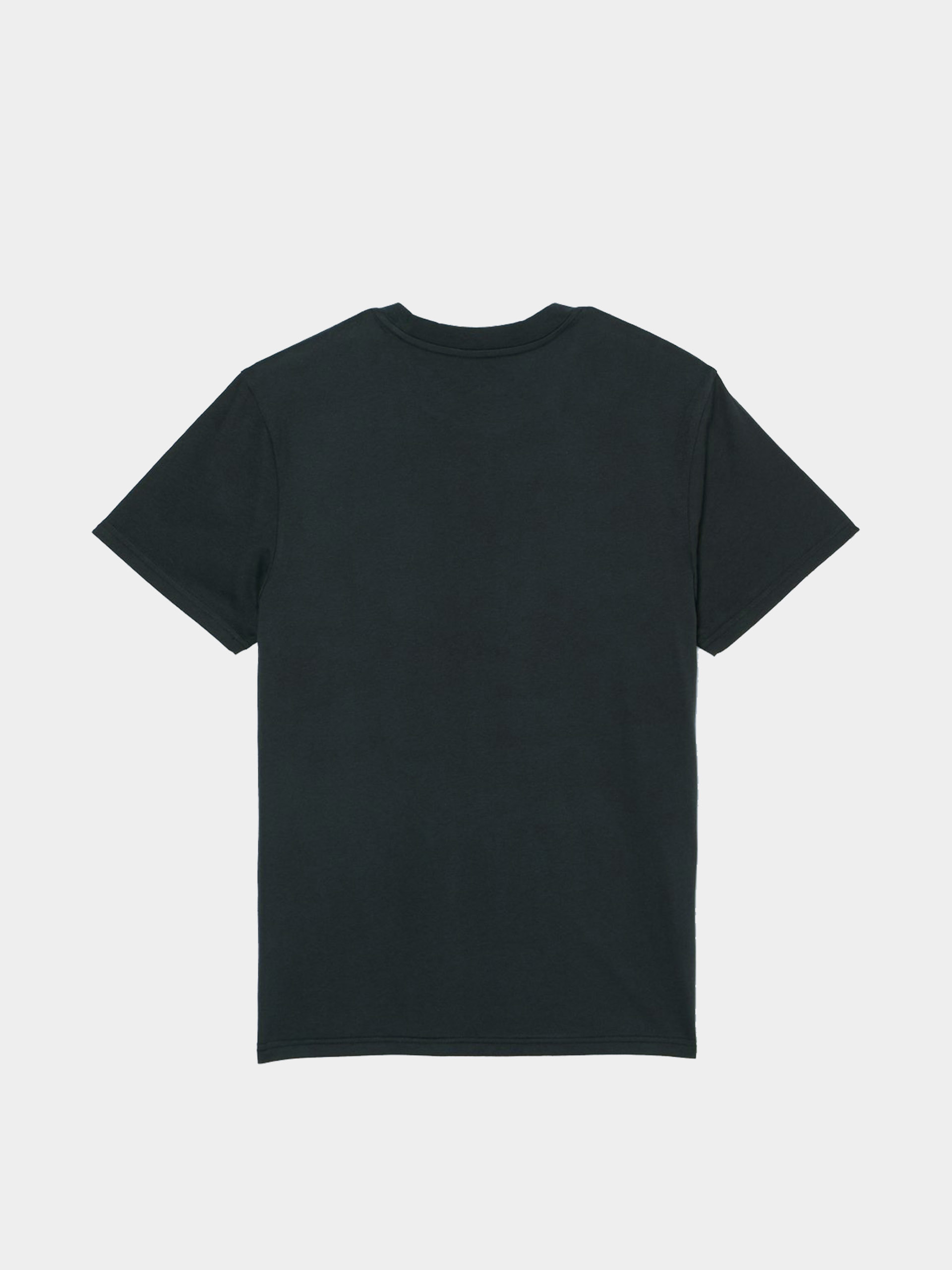 Quiksilver T-Shirt Ev Mini Logo (black)