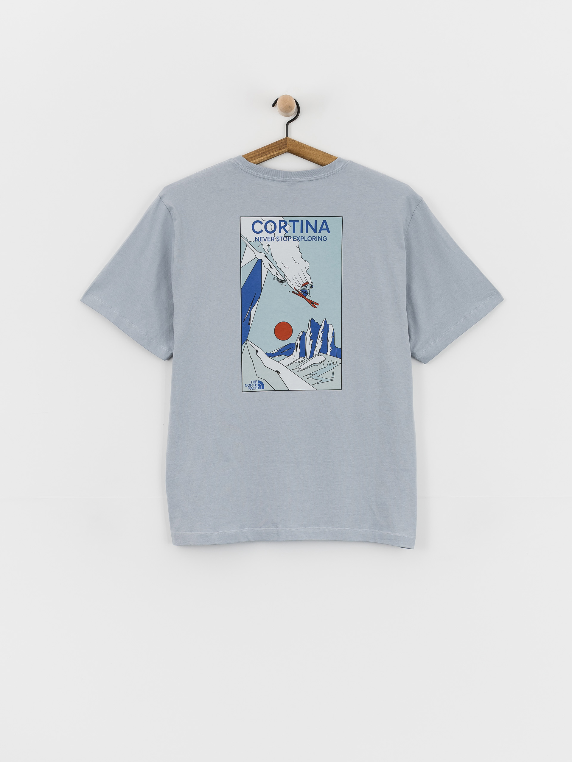 The North Face Mountain Celebration T-Shirt (frost grey)