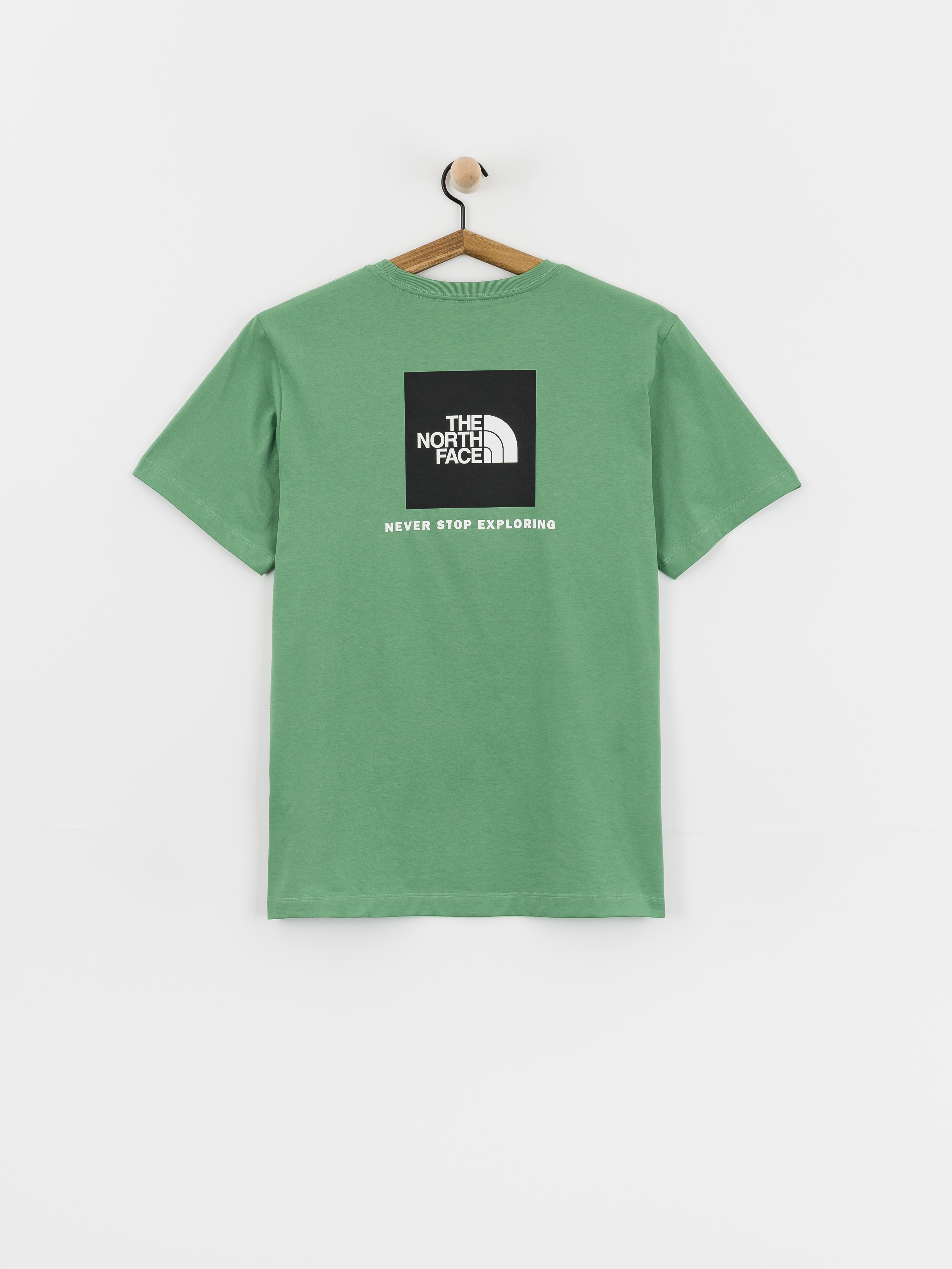 The North Face Evolution Box Nse T-Shirt (dimmed algae)