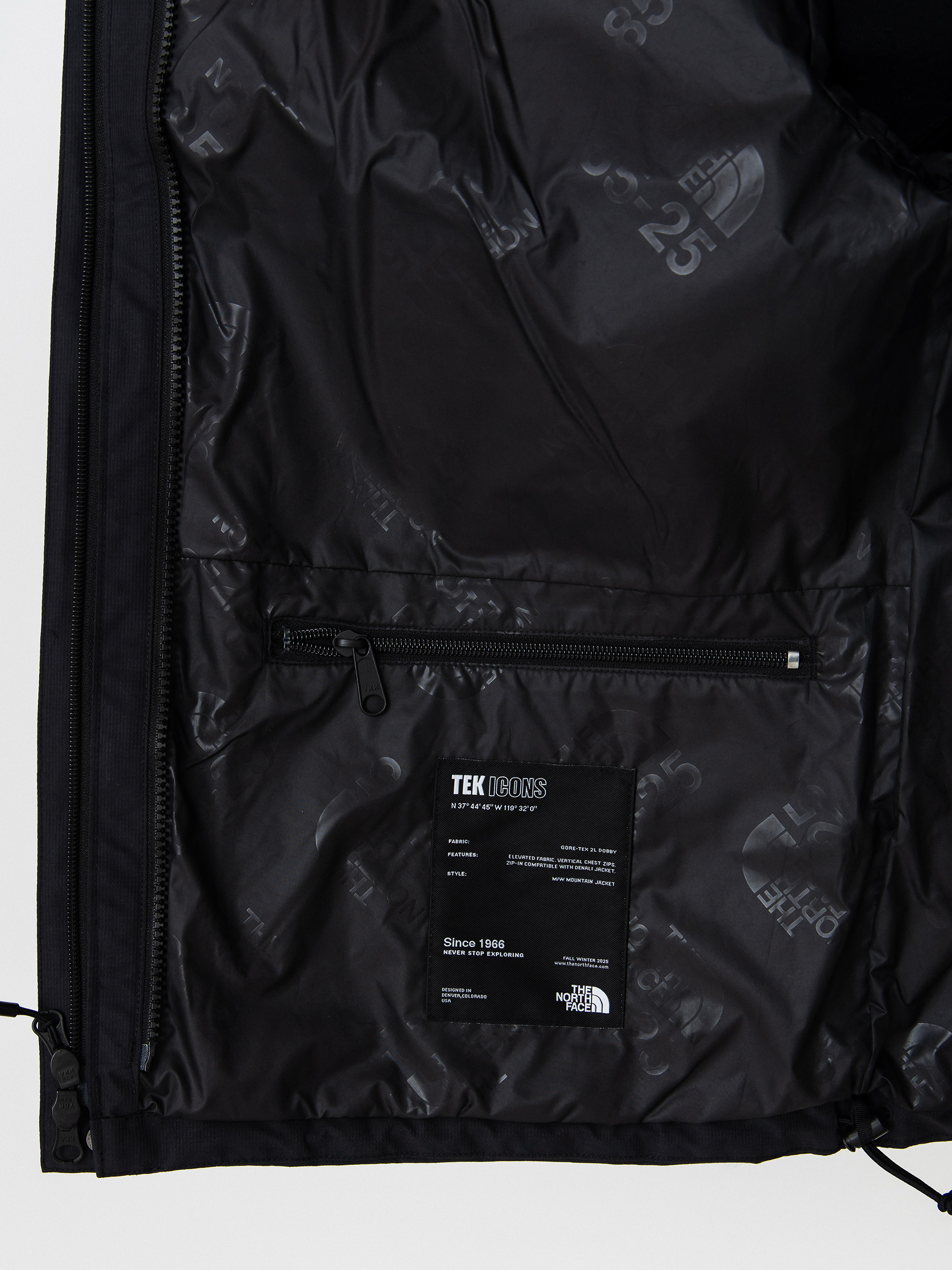 The North Face Jacket Rmst GTX Mountain Tek (tnf black)
