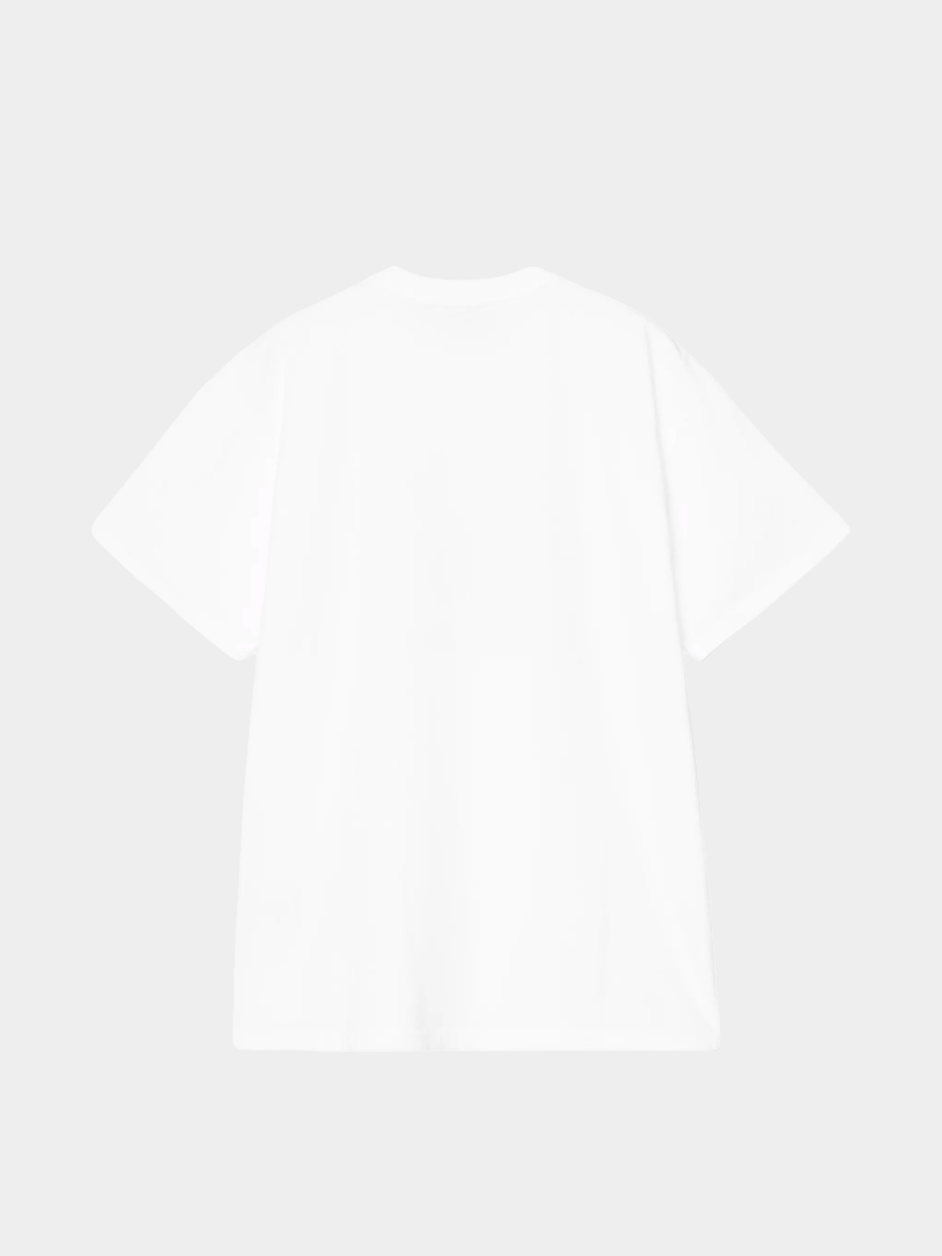 Carhartt WIP T-Shirt Coat Of Arms (white)