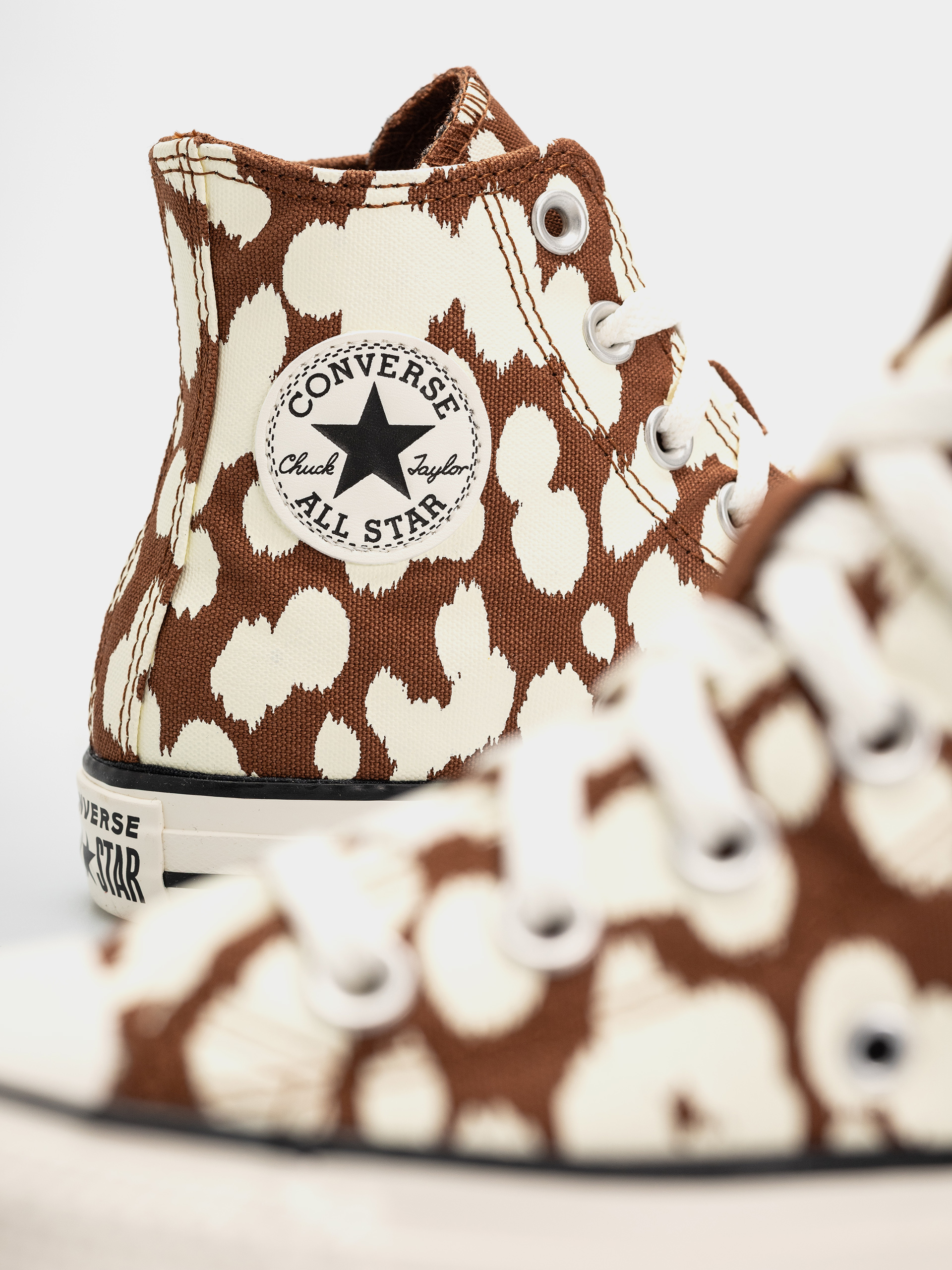 Converse Chuck Taylor All Star Hi Chucks (unearthed/egret/unearthed)