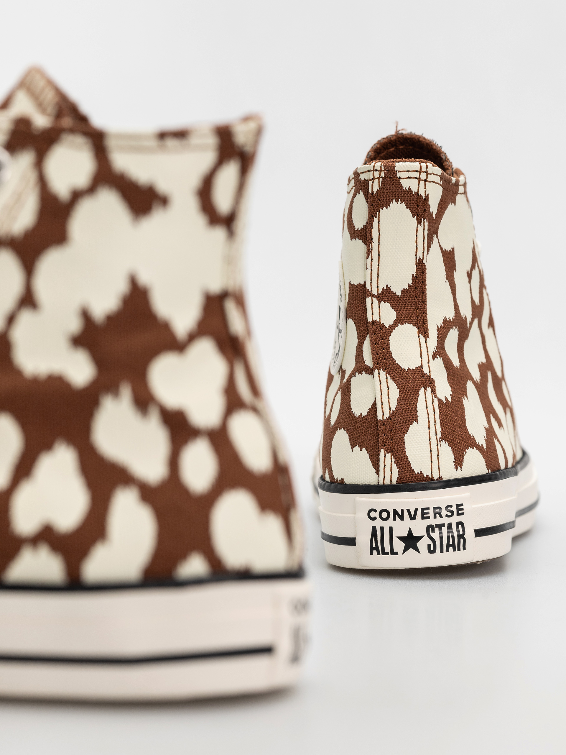 Converse Chuck Taylor All Star Hi Chucks (unearthed/egret/unearthed)