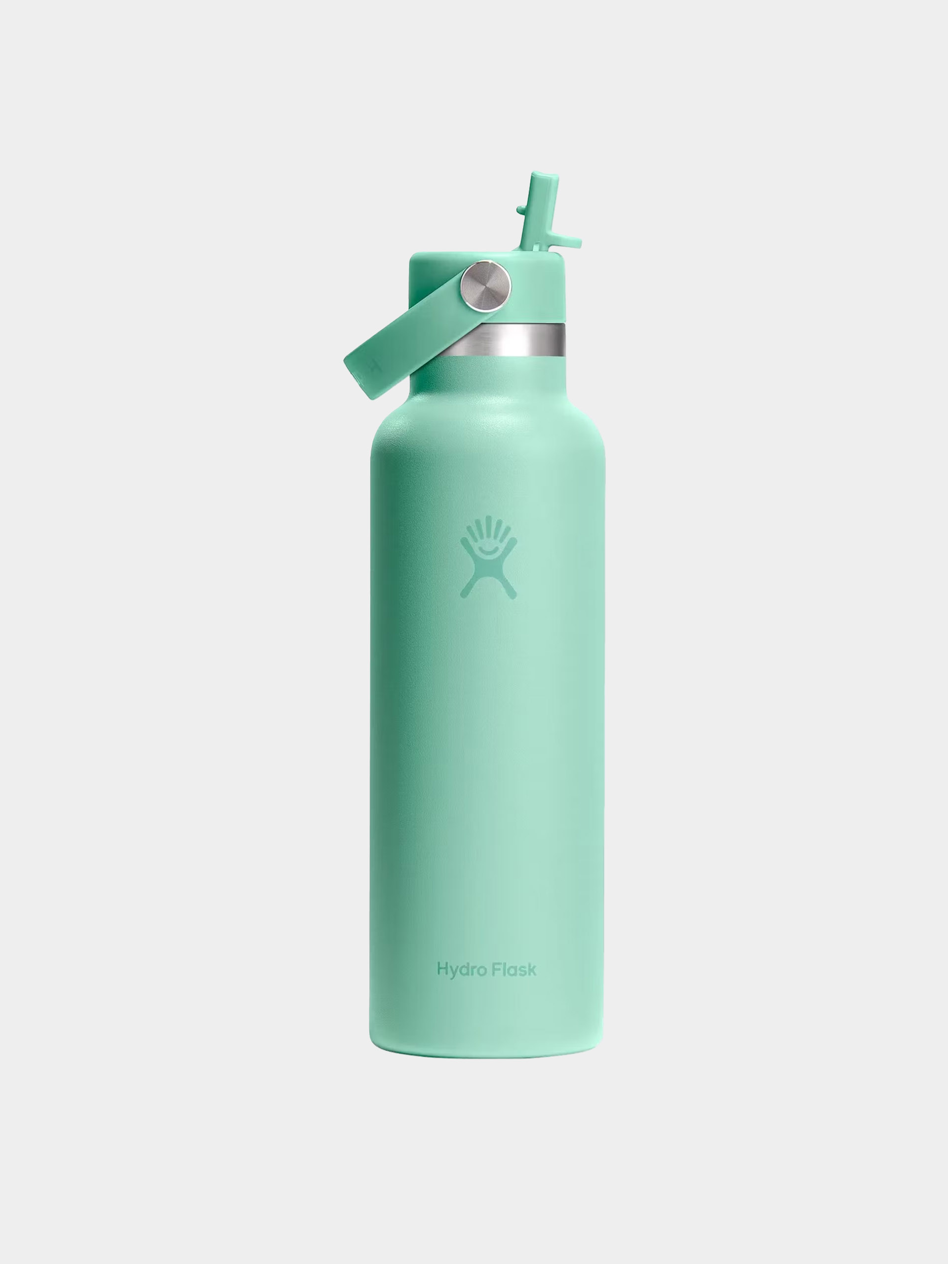 Hydro Flask Bottle Standard Flex Straw Cap 621ml (mermaid green)