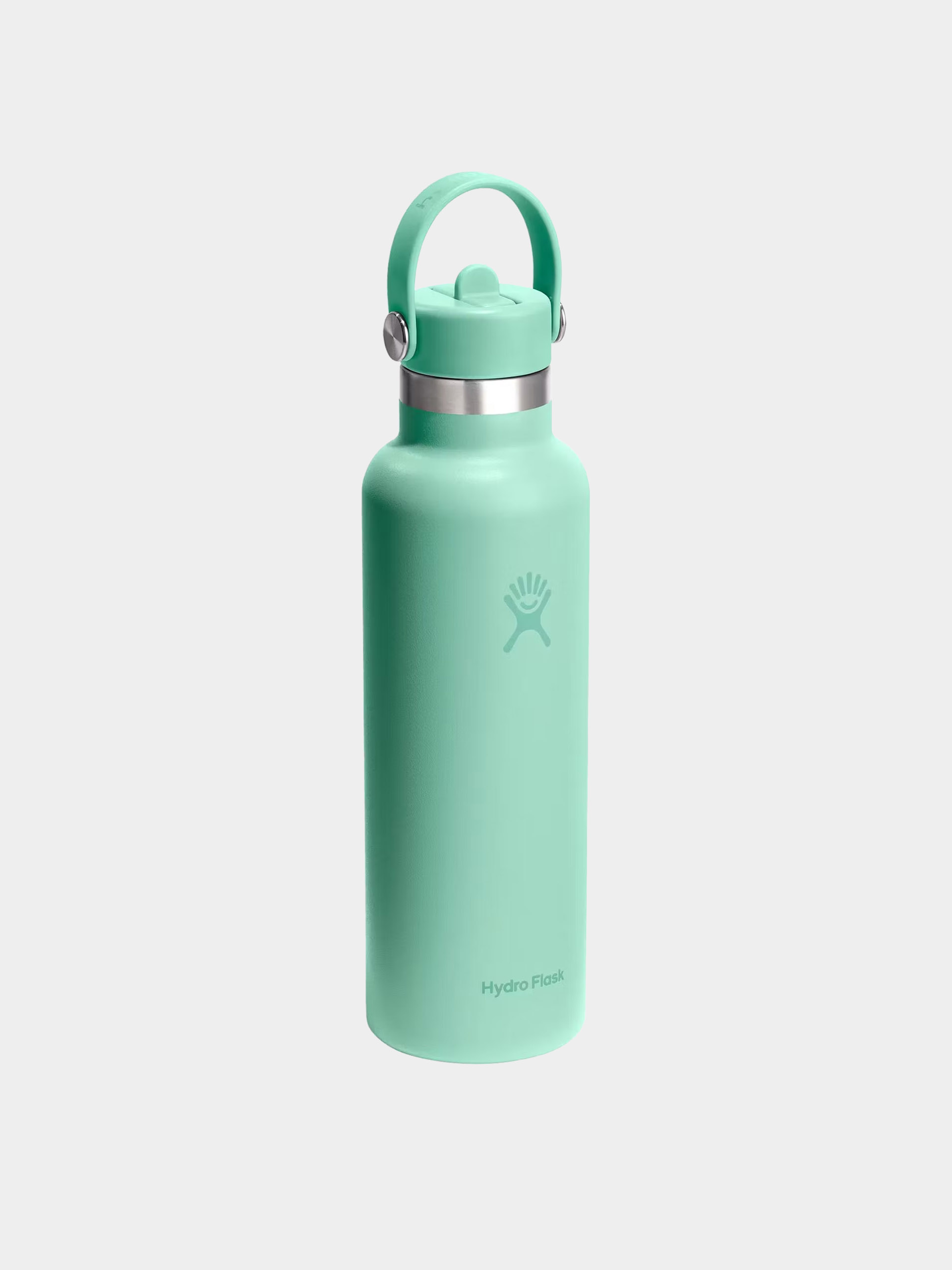 Hydro Flask Bottle Standard Flex Straw Cap 621ml (mermaid green)