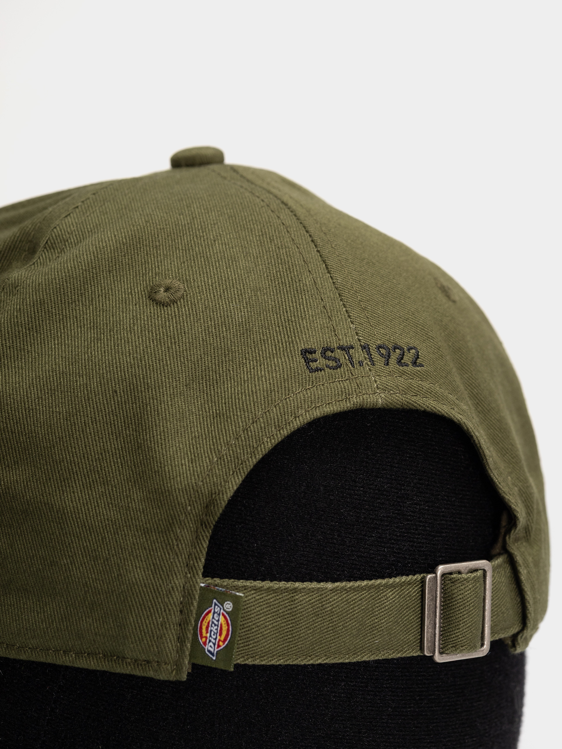 Dickies Essential Dad Cap (cypress)