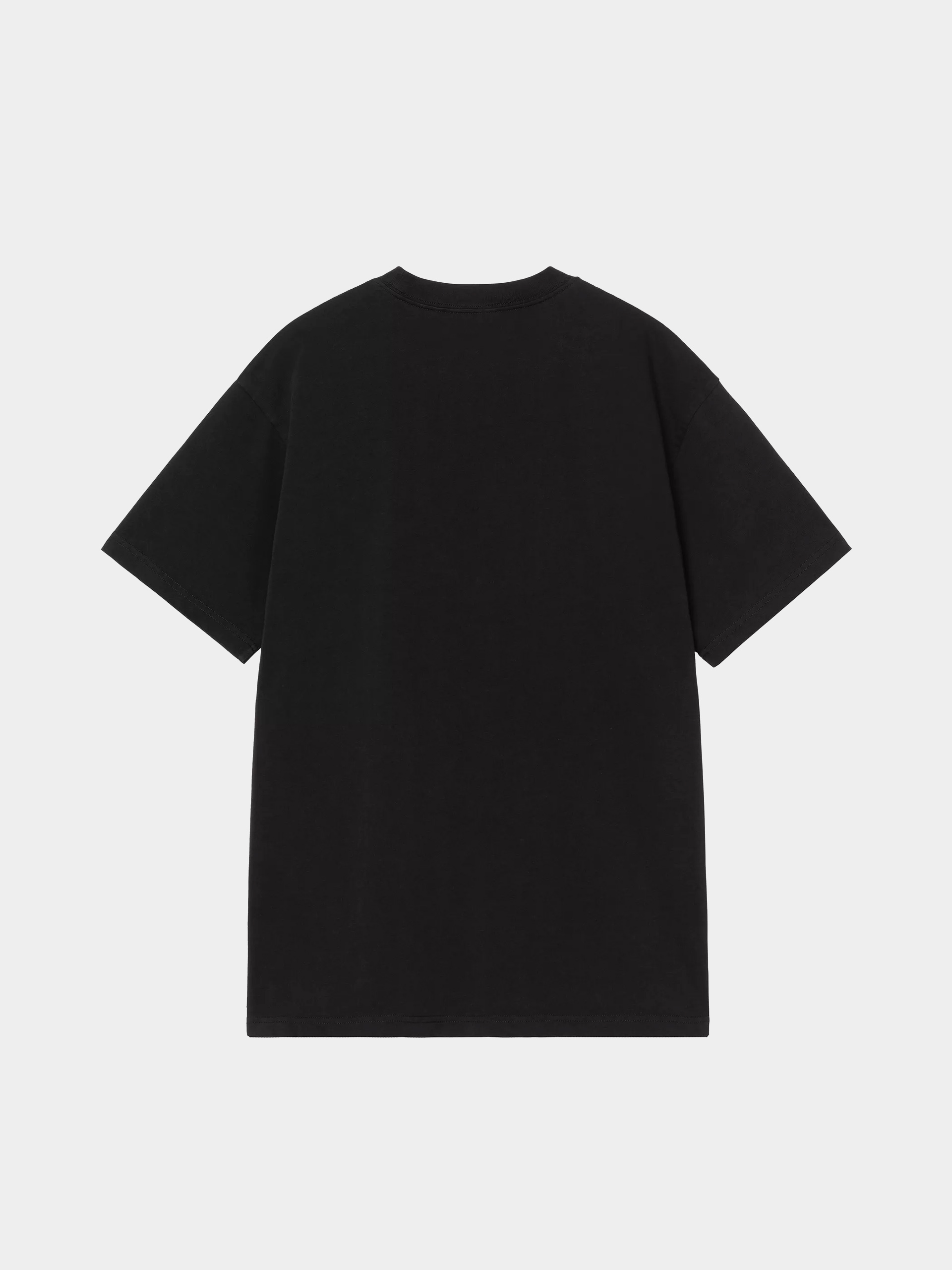 Carhartt WIP T-Shirt WIP III (black)
