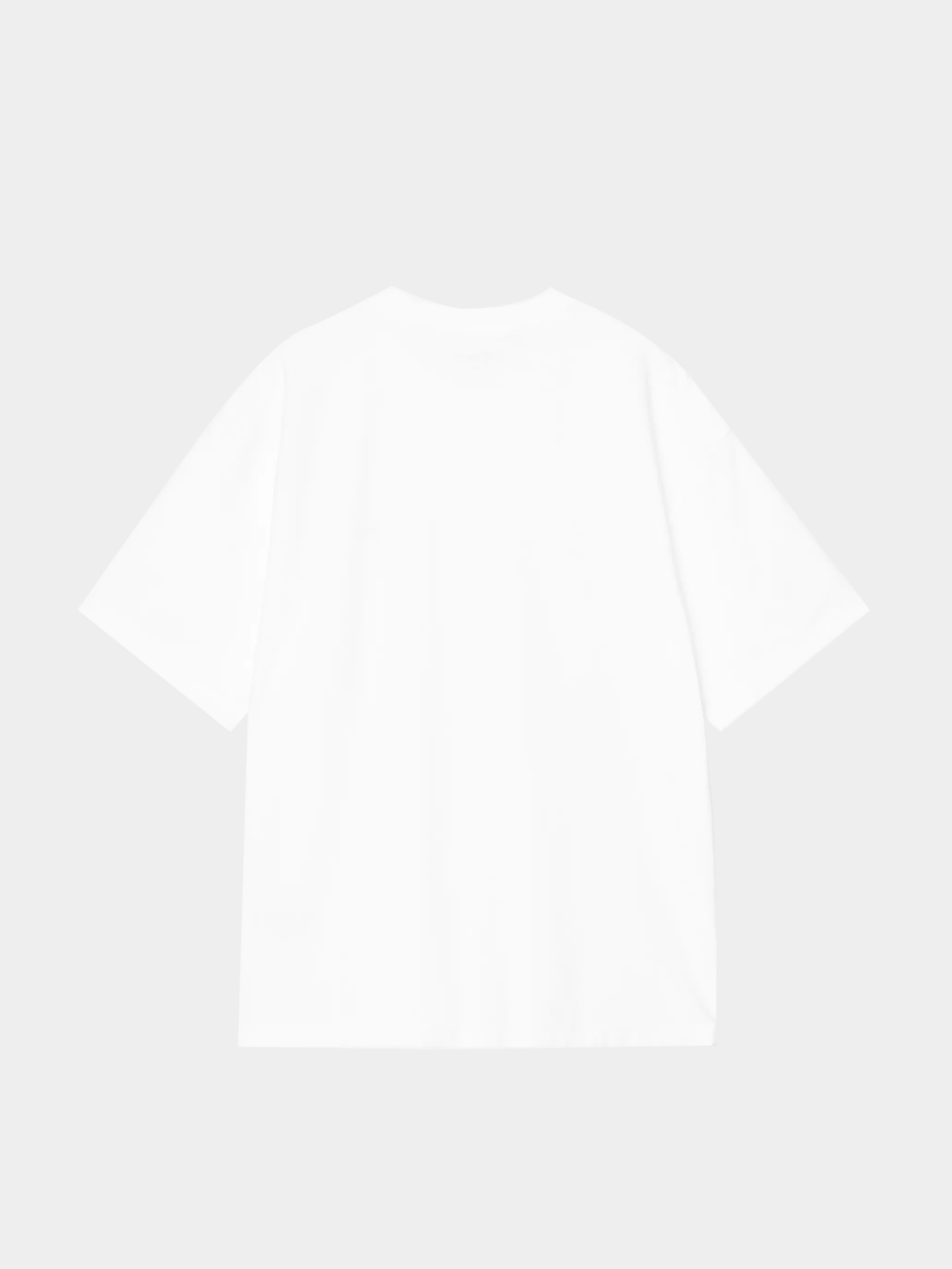 Carhartt WIP T-Shirt WIP Label (white)