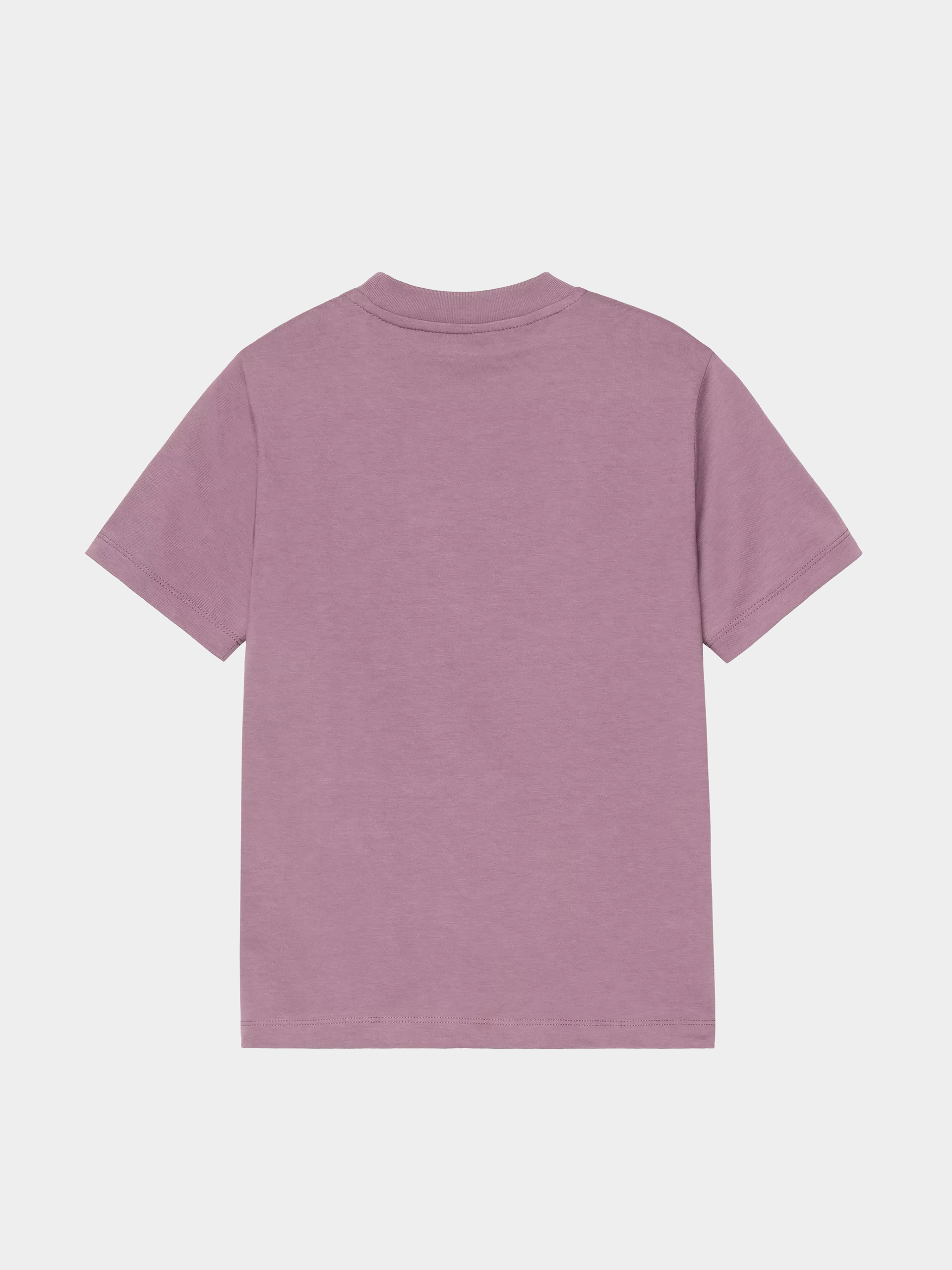 Carhartt WIP T-Shirt Luca Wmn (phlox)