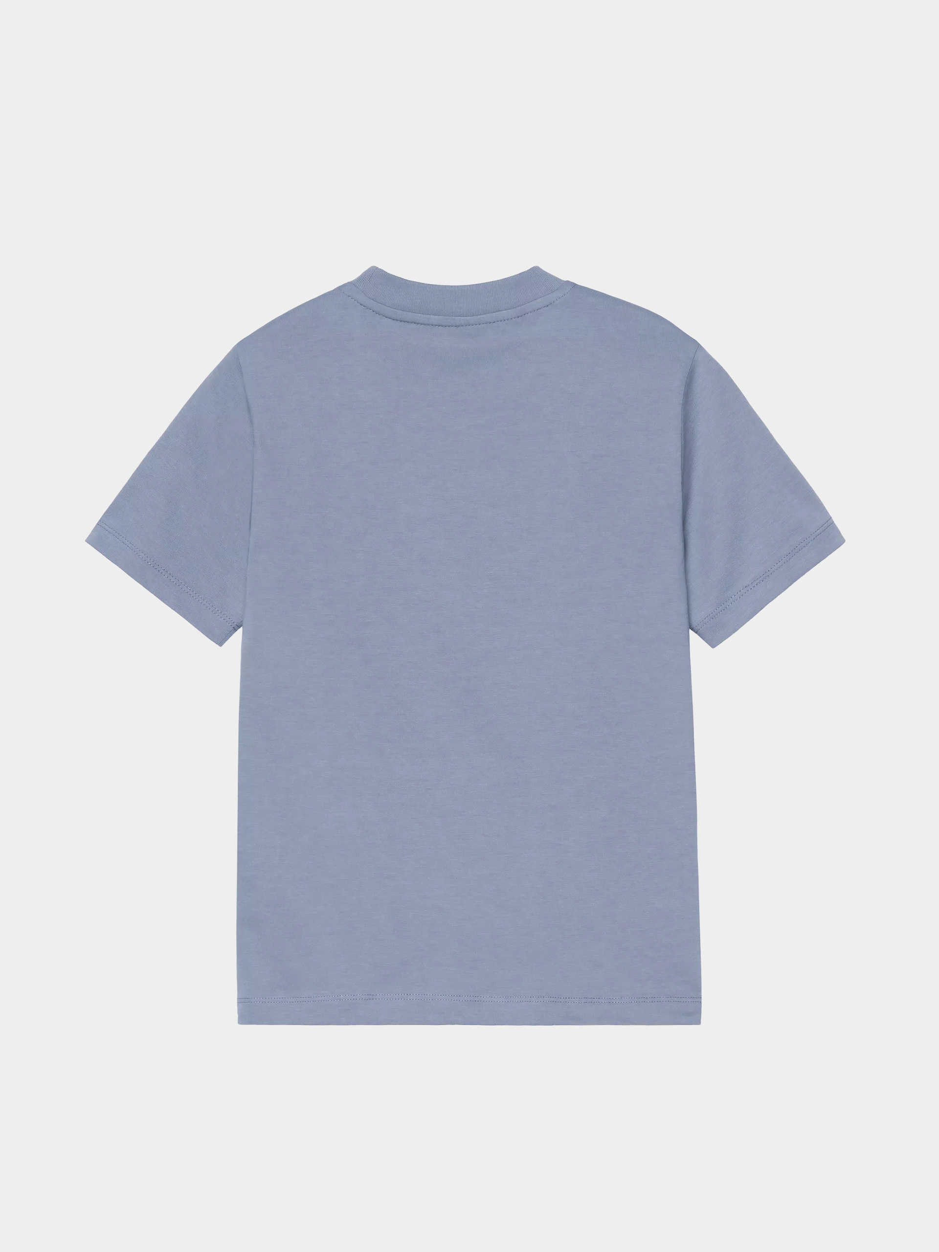 Carhartt WIP T-Shirt Luca Wmn (gentle blue)