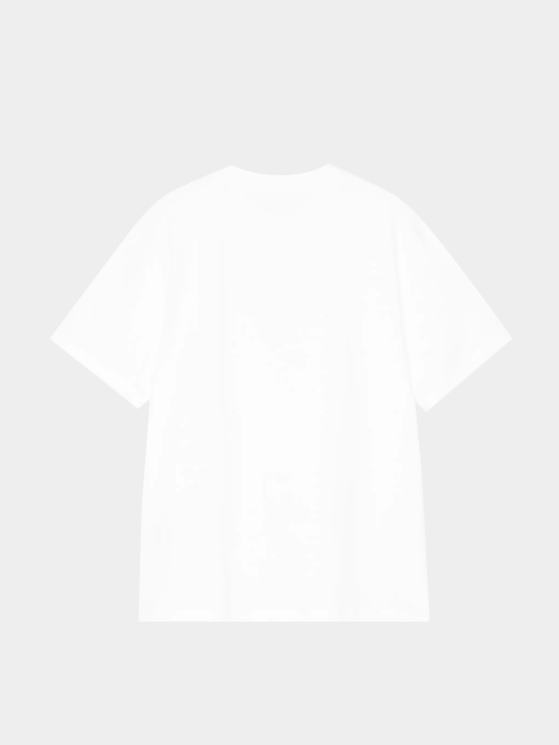 Carhartt WIP T-Shirt ABC Wmn (white)