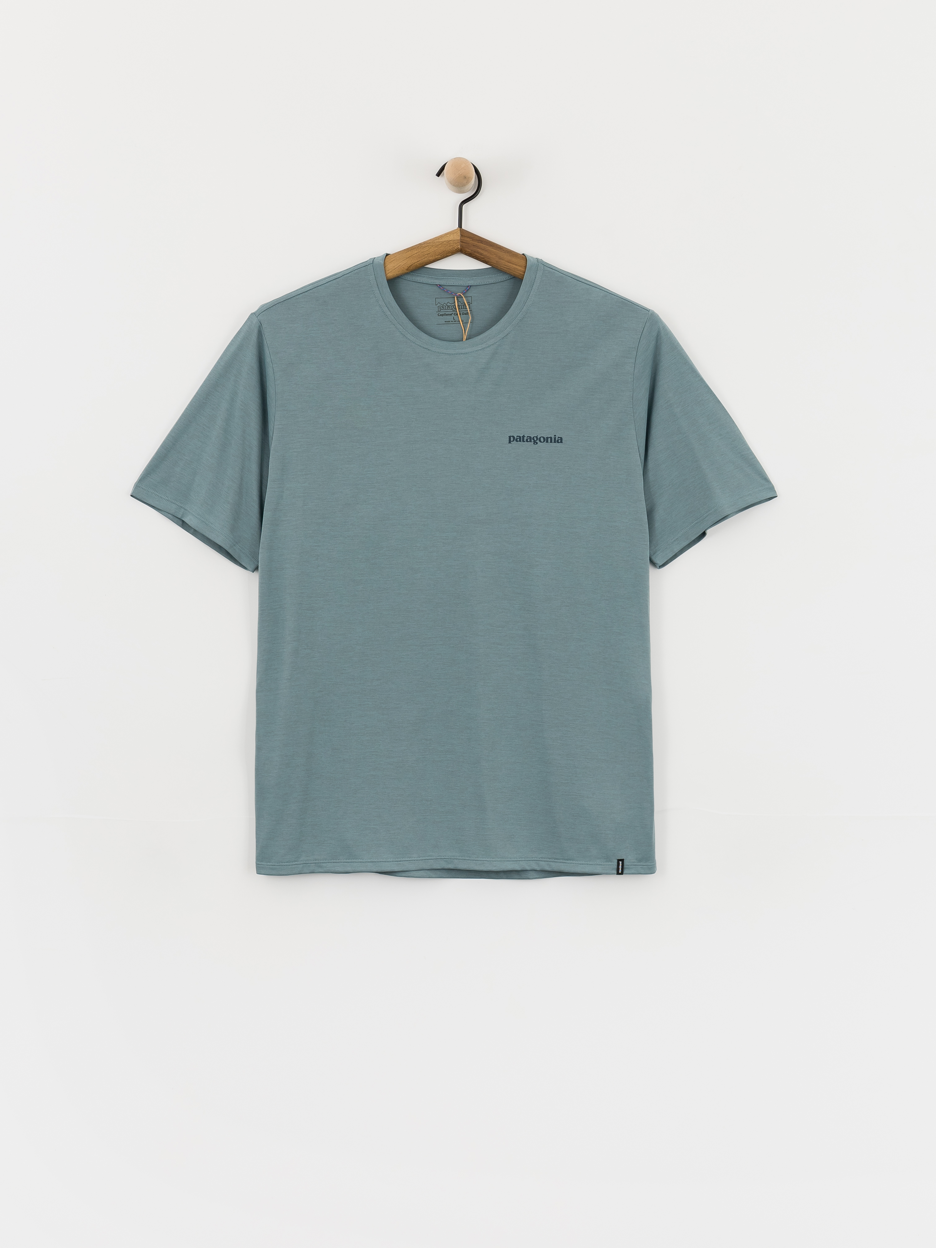 Patagonia Capilene Cool Boardshort Logo T-Shirt (blue sage/light blue sage)