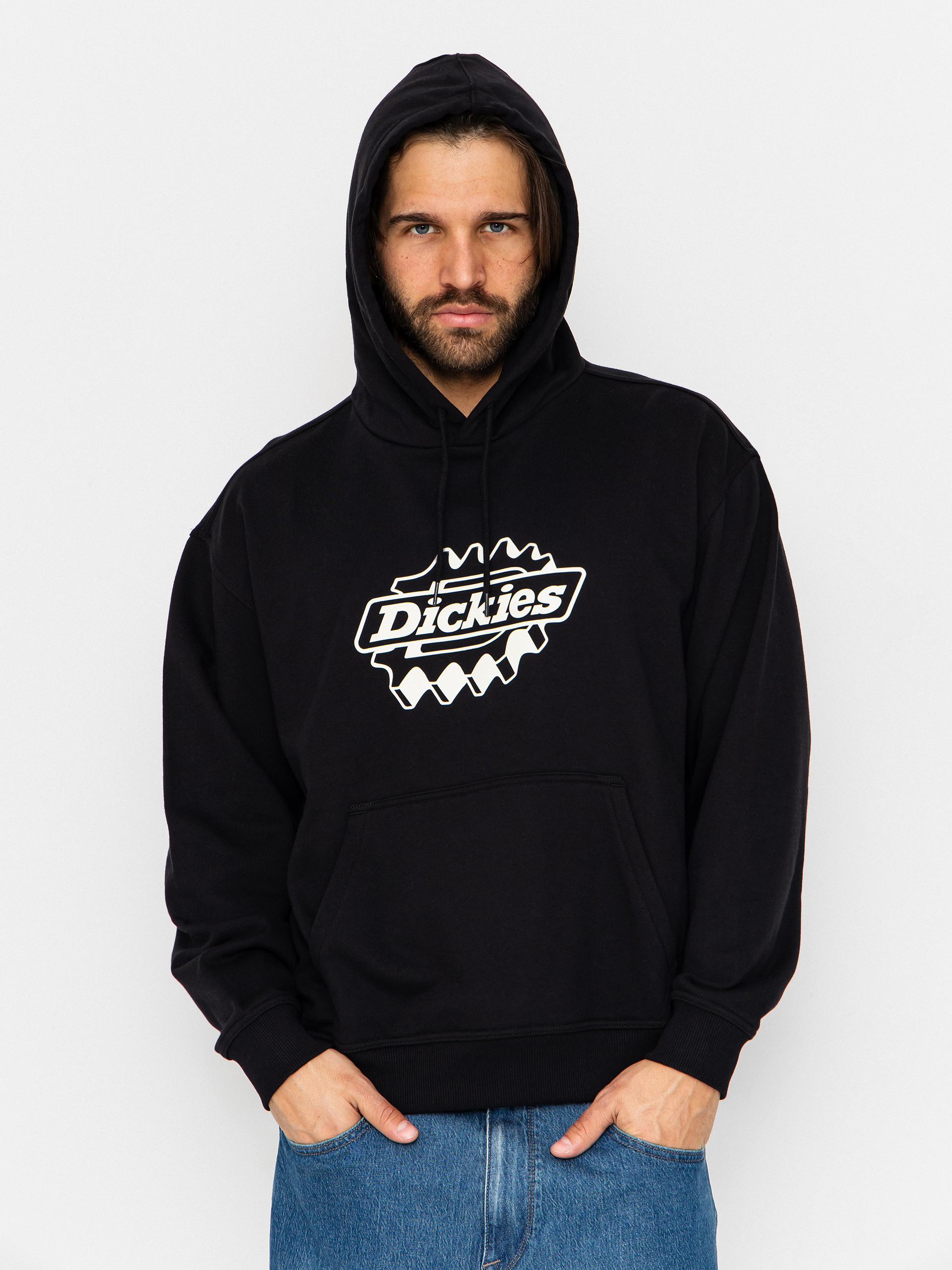 Dickies Plentywood HD Hoodie - black (black)