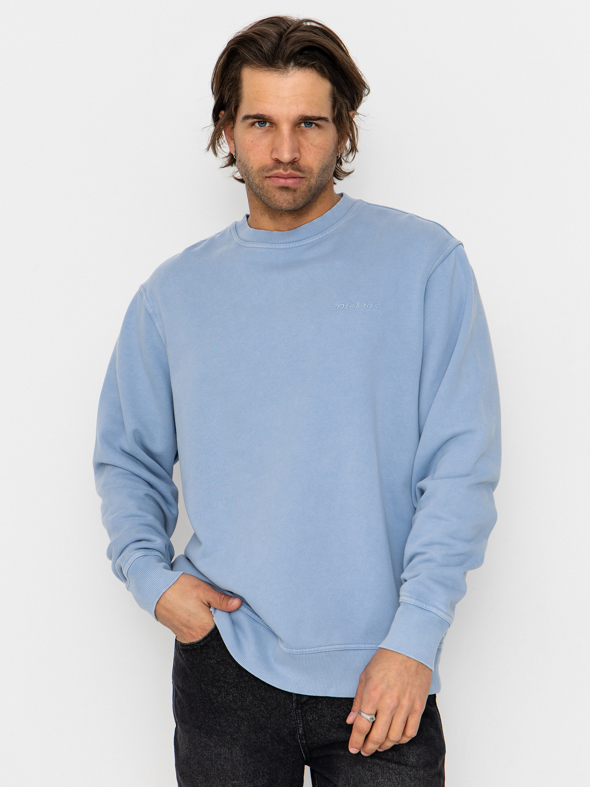 Dickies Plentywood Sweatshirt - blue (endless sky)
