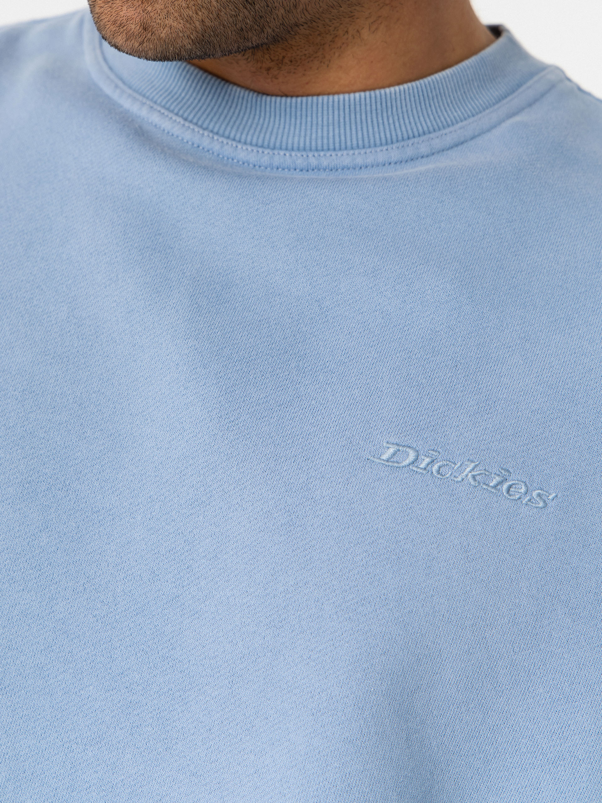 Dickies Plentywood Sweatshirt (endless sky)
