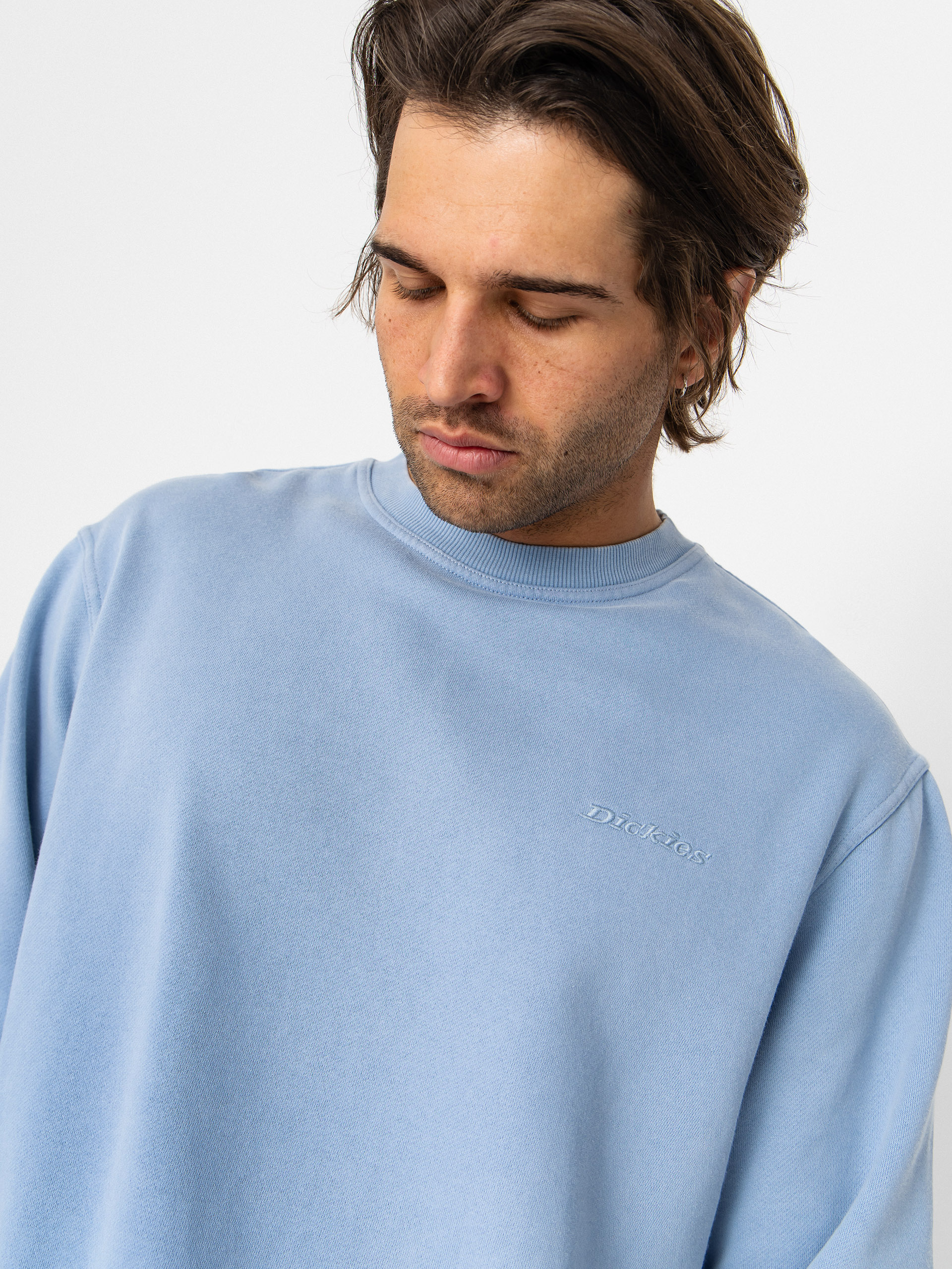 Dickies Plentywood Sweatshirt - blue (endless sky)