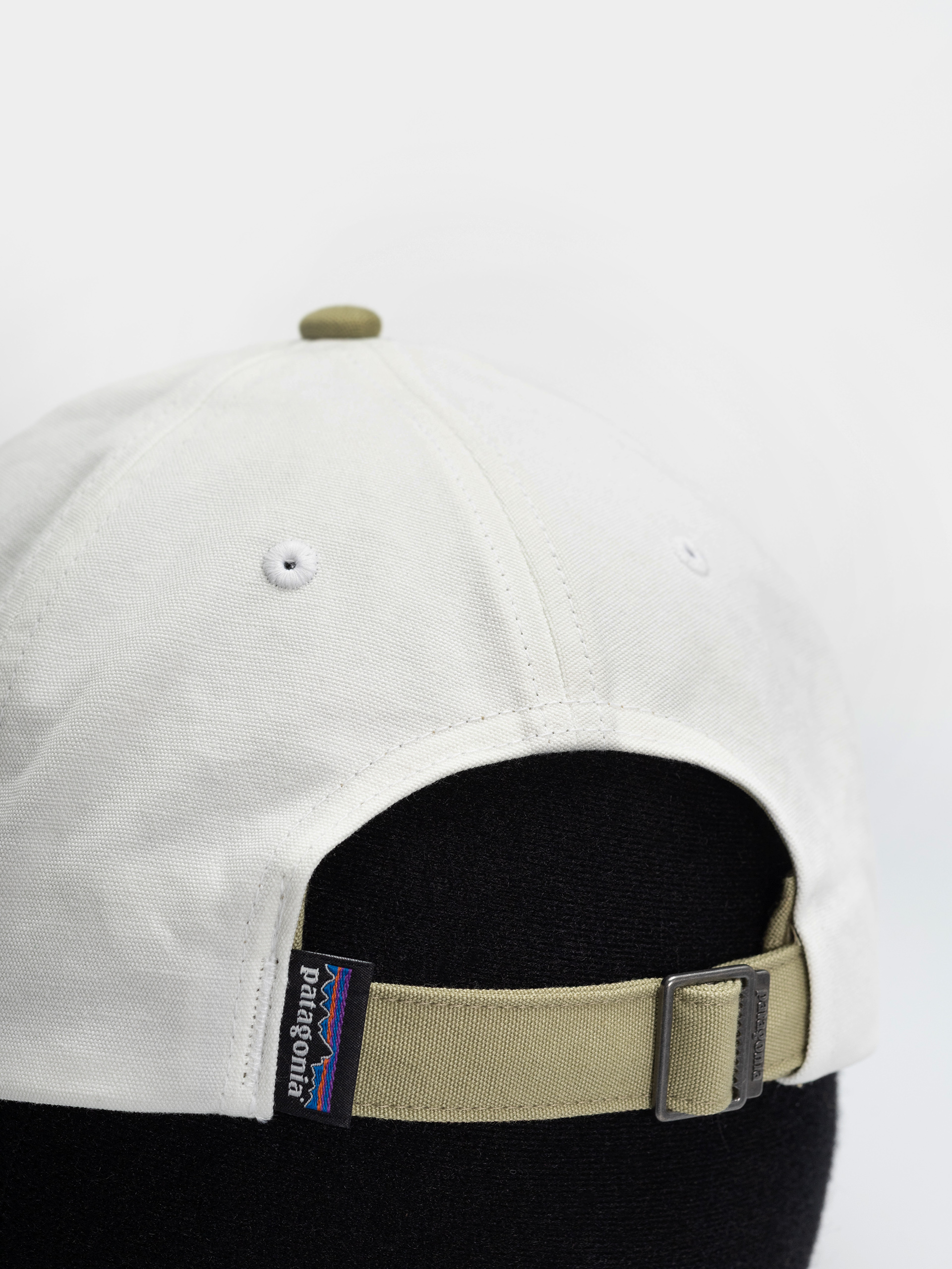 Patagonia Fitz Roy Icon Trad Cap (text logo/birch white w/gumtree green)