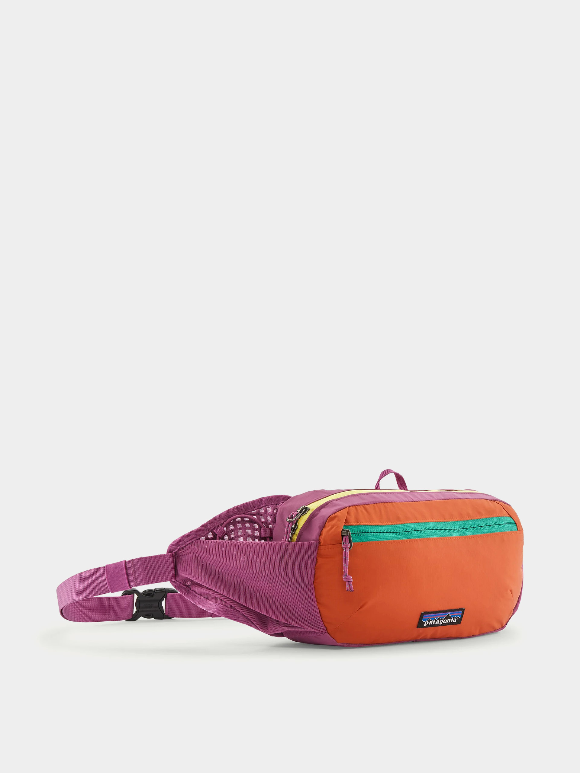 Patagonia Bum bag Terravia