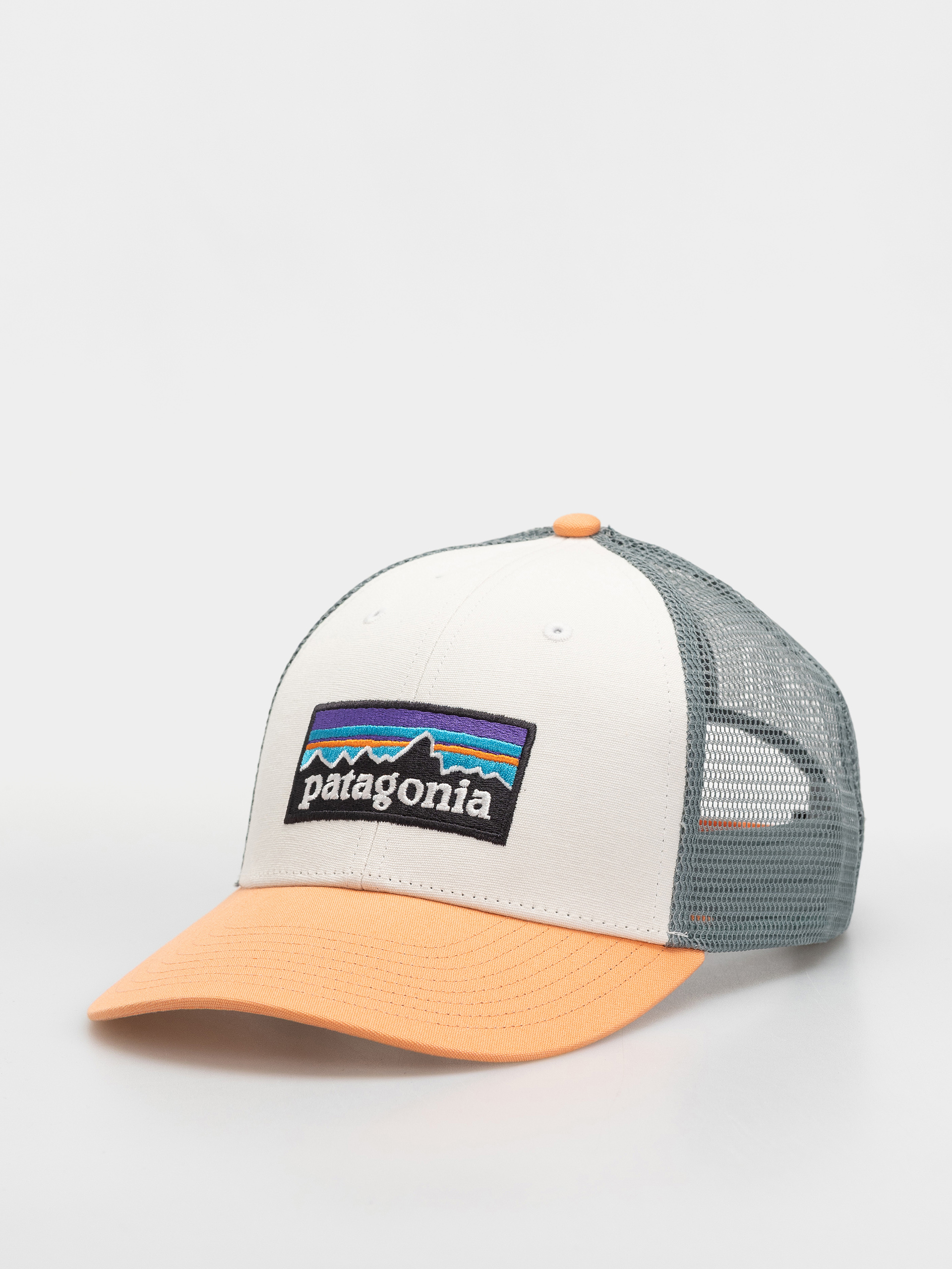 Patagonia P 6 Logo LoPro Trucker Cap