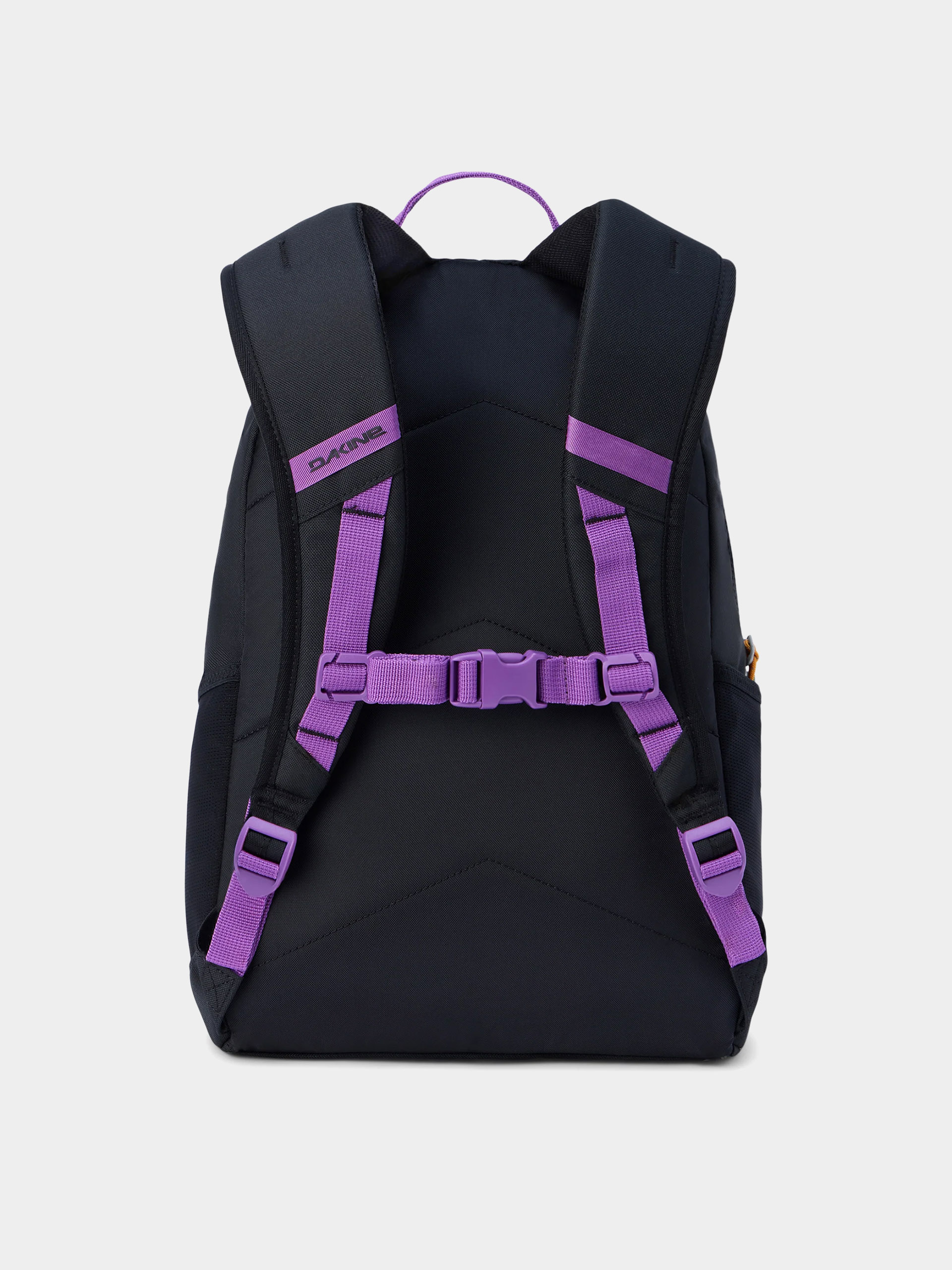 Dakine Backpack Grom 2.0 13L - violet, green (purple rein)
