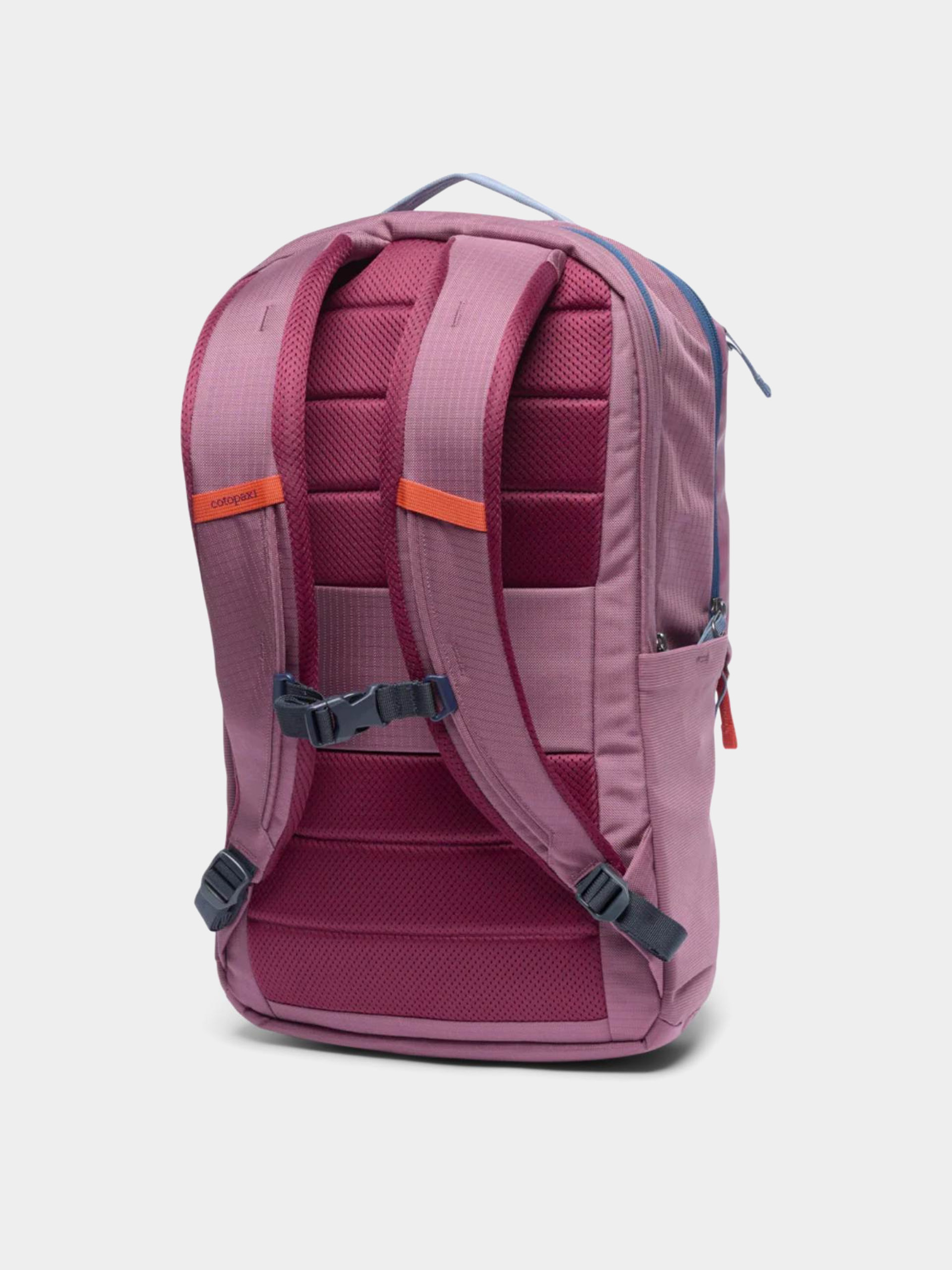 Cotopaxi Backpack Allpa 26L - violet (fig)