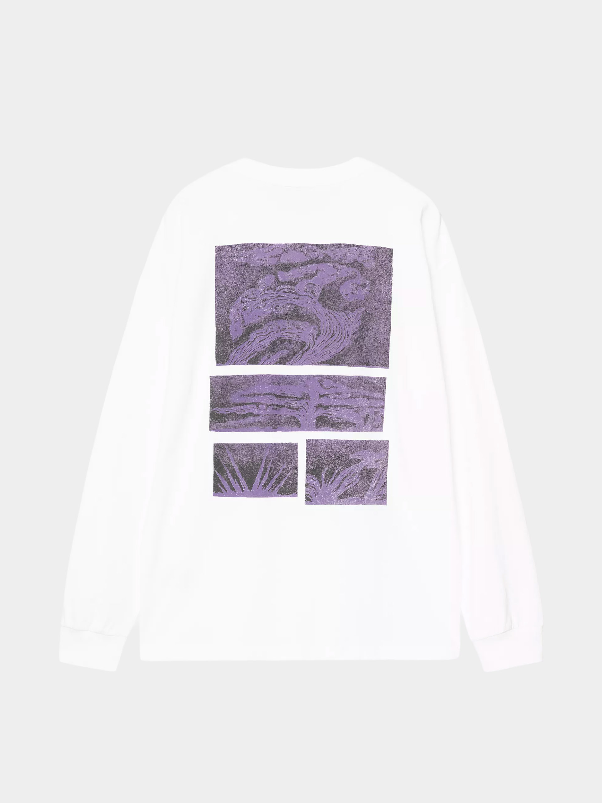 Carhartt WIP Longsleeve Emerge (white)