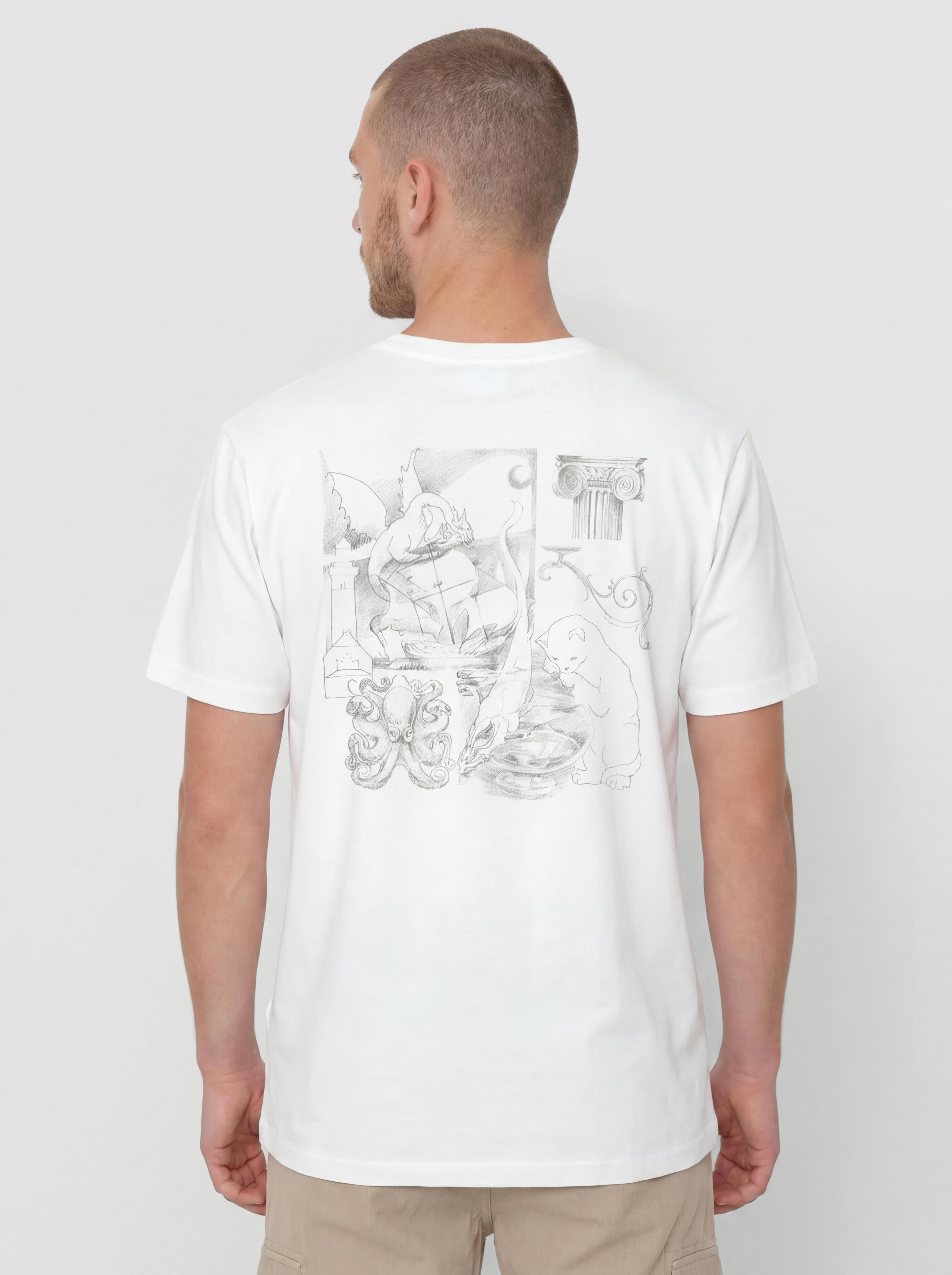 Carhartt WIP T-Shirt Okniceok 02 (white)