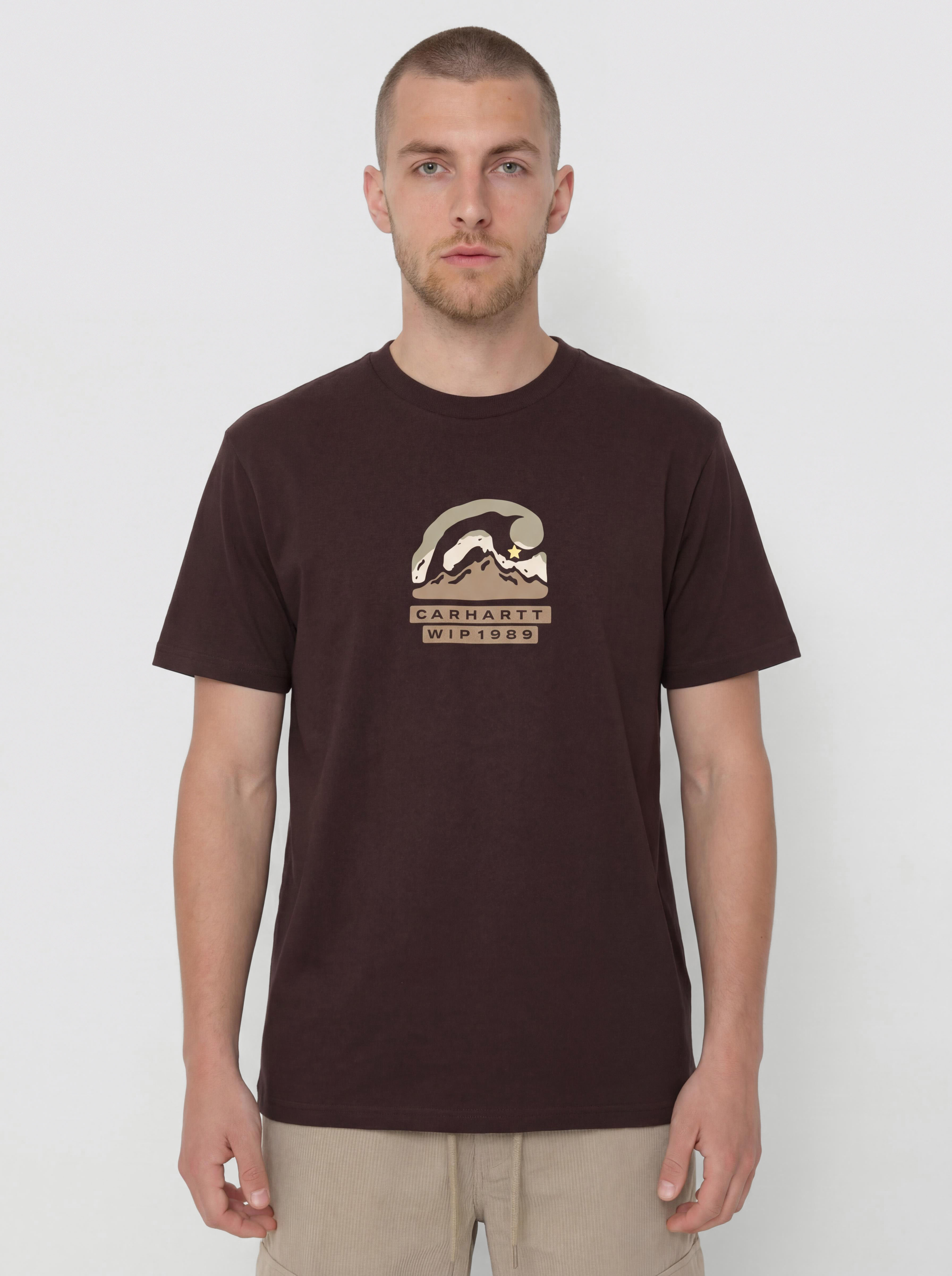 Carhartt WIP Rising Helix T-Shirt (palisander)