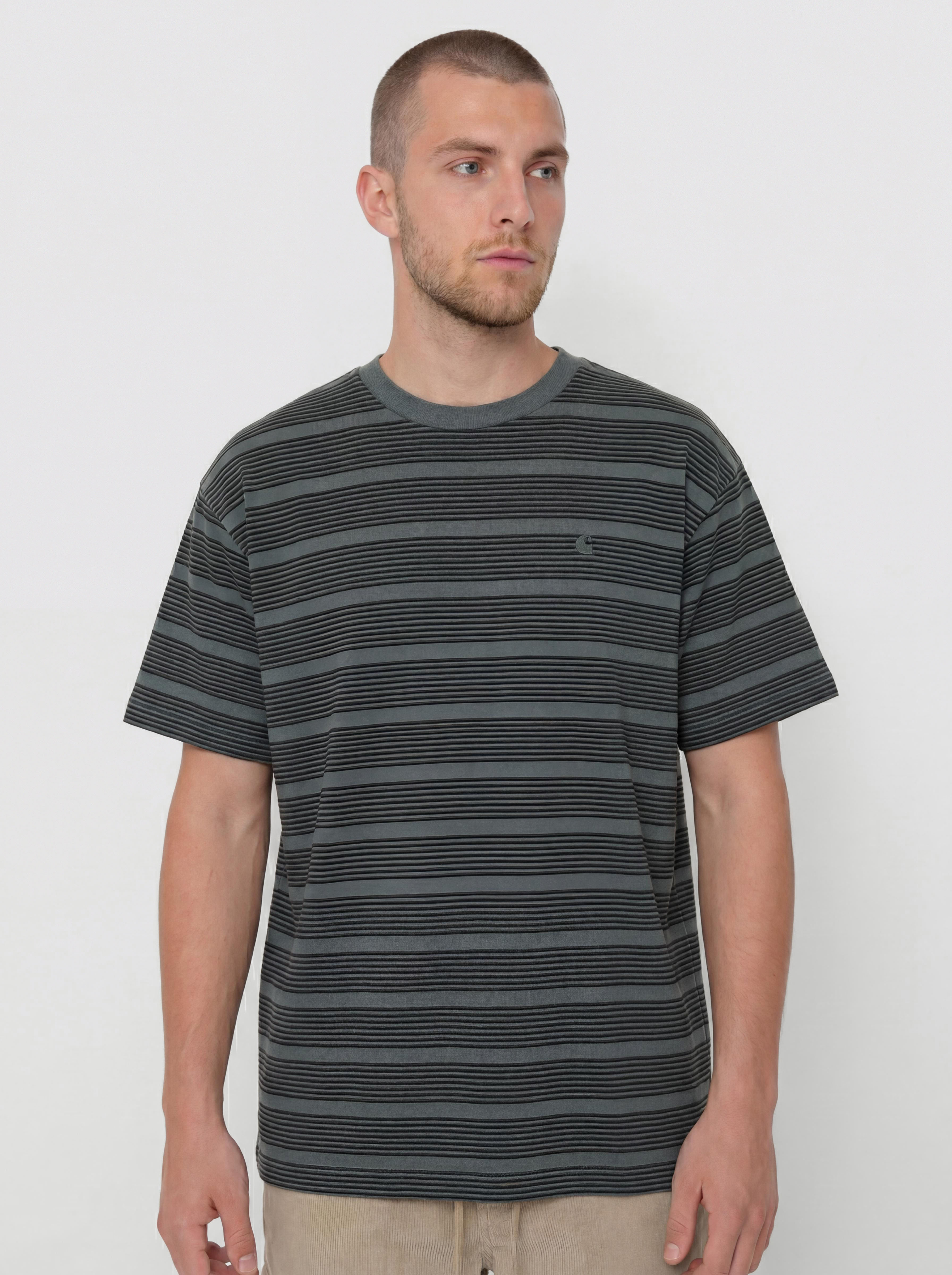 Carhartt WIP T-Shirt Hanson (hanson stripe/kale green)