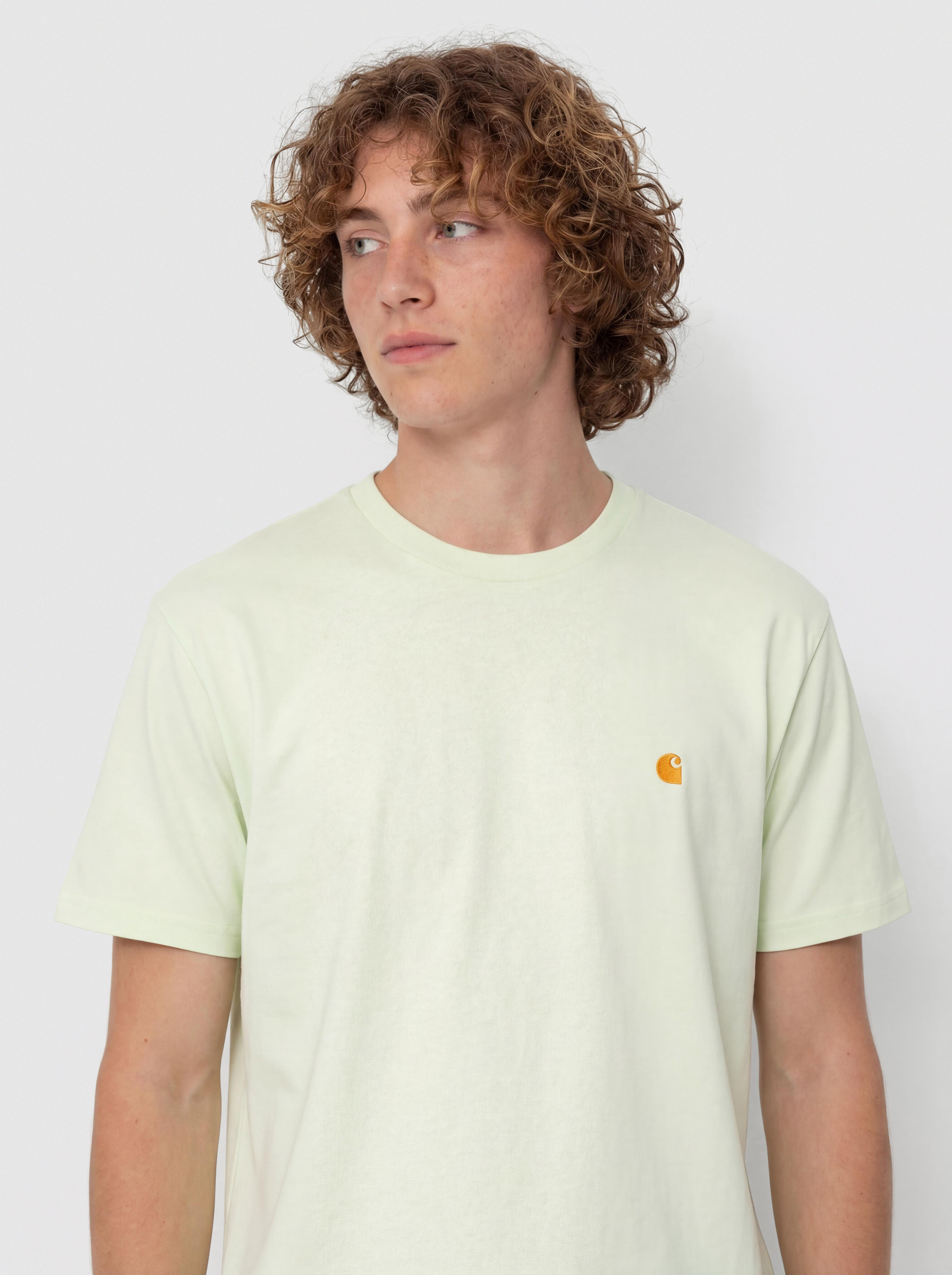 Carhartt WIP Chase T-Shirt (air green/gold)