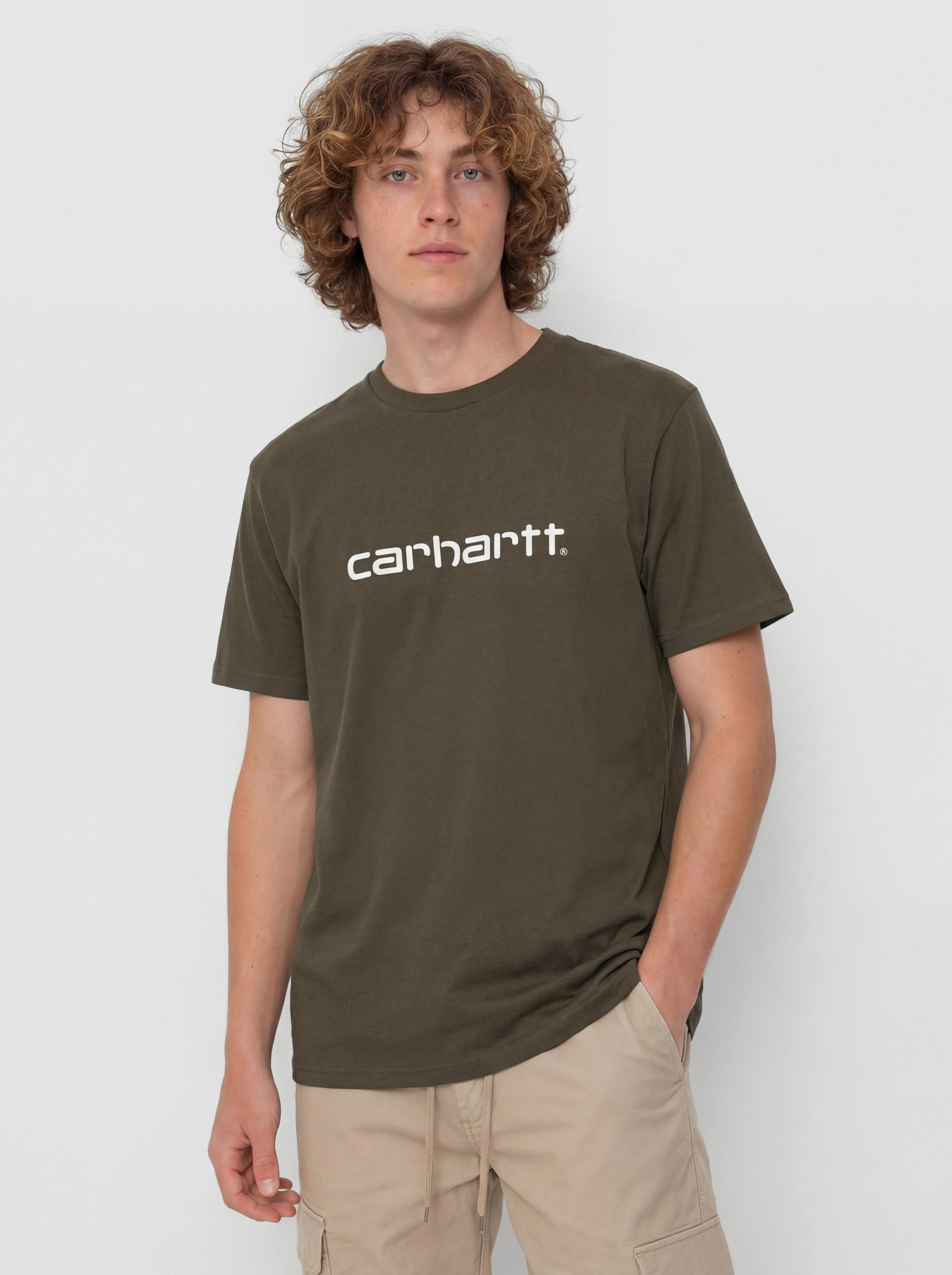 Carhartt WIP T-Shirt Script (turtle/air pink)