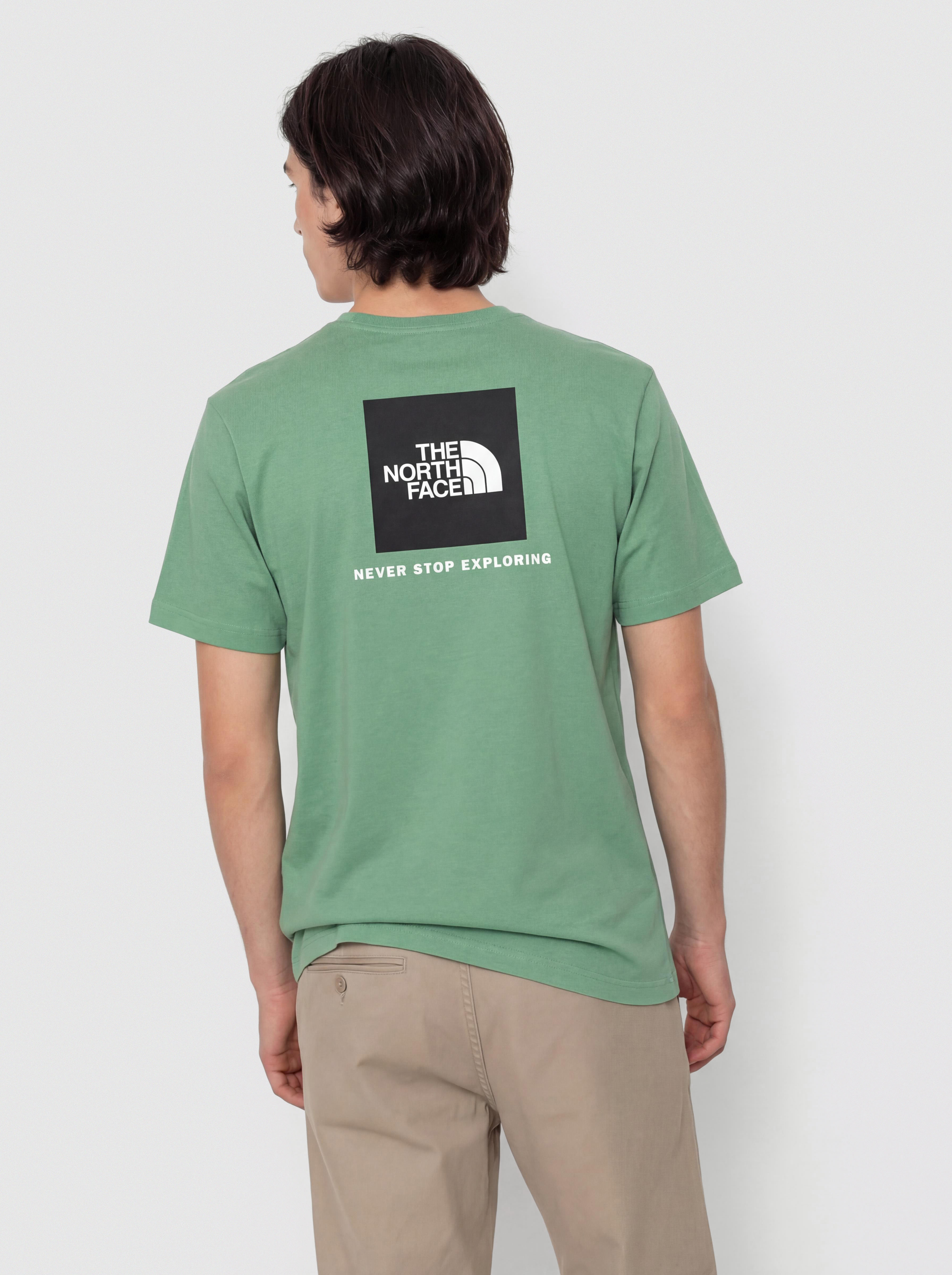 The North Face Evolution Box Nse T-Shirt (dimmed algae)
