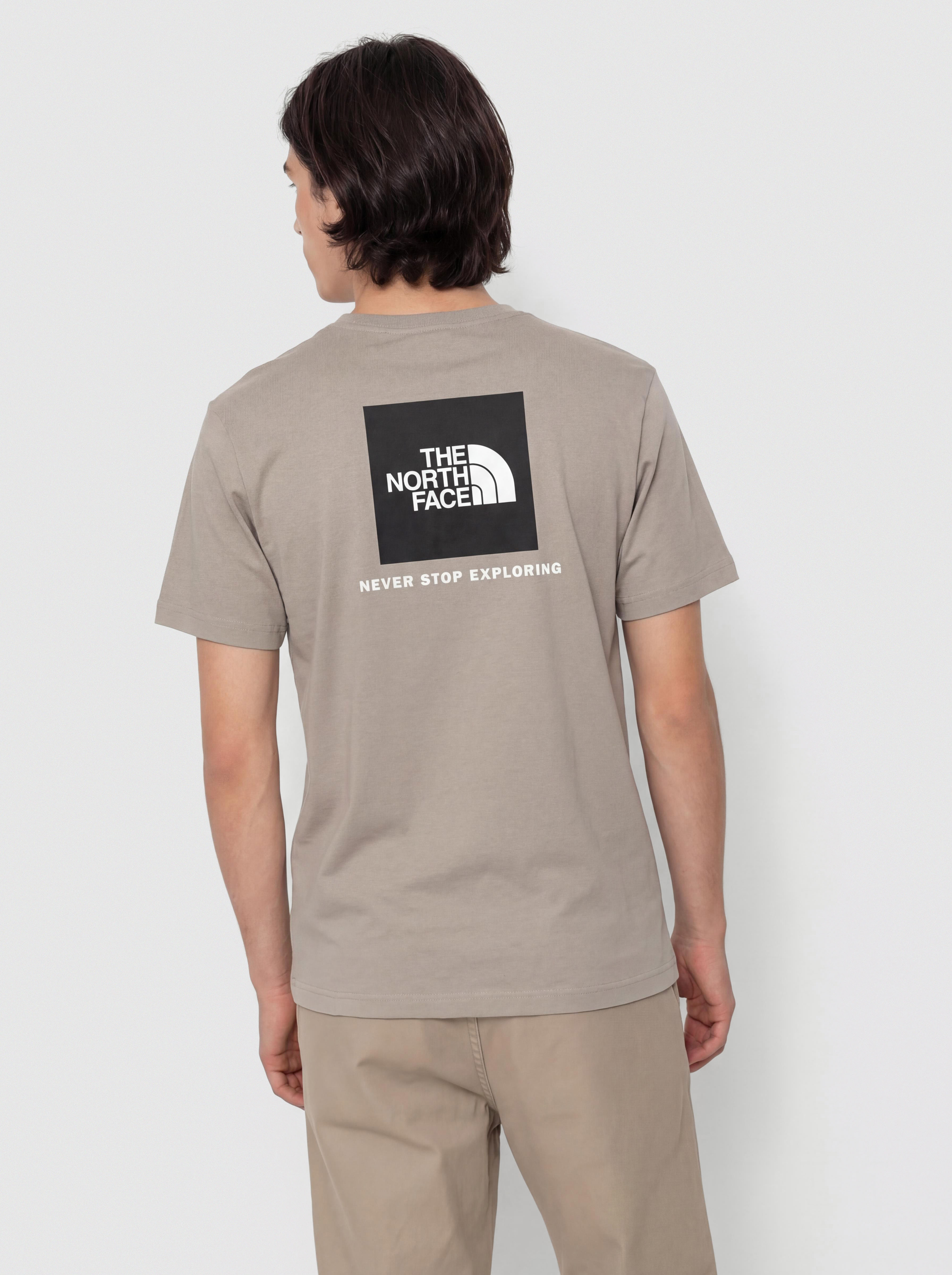 The North Face Evolution Box Nse T-Shirt (stone slab)