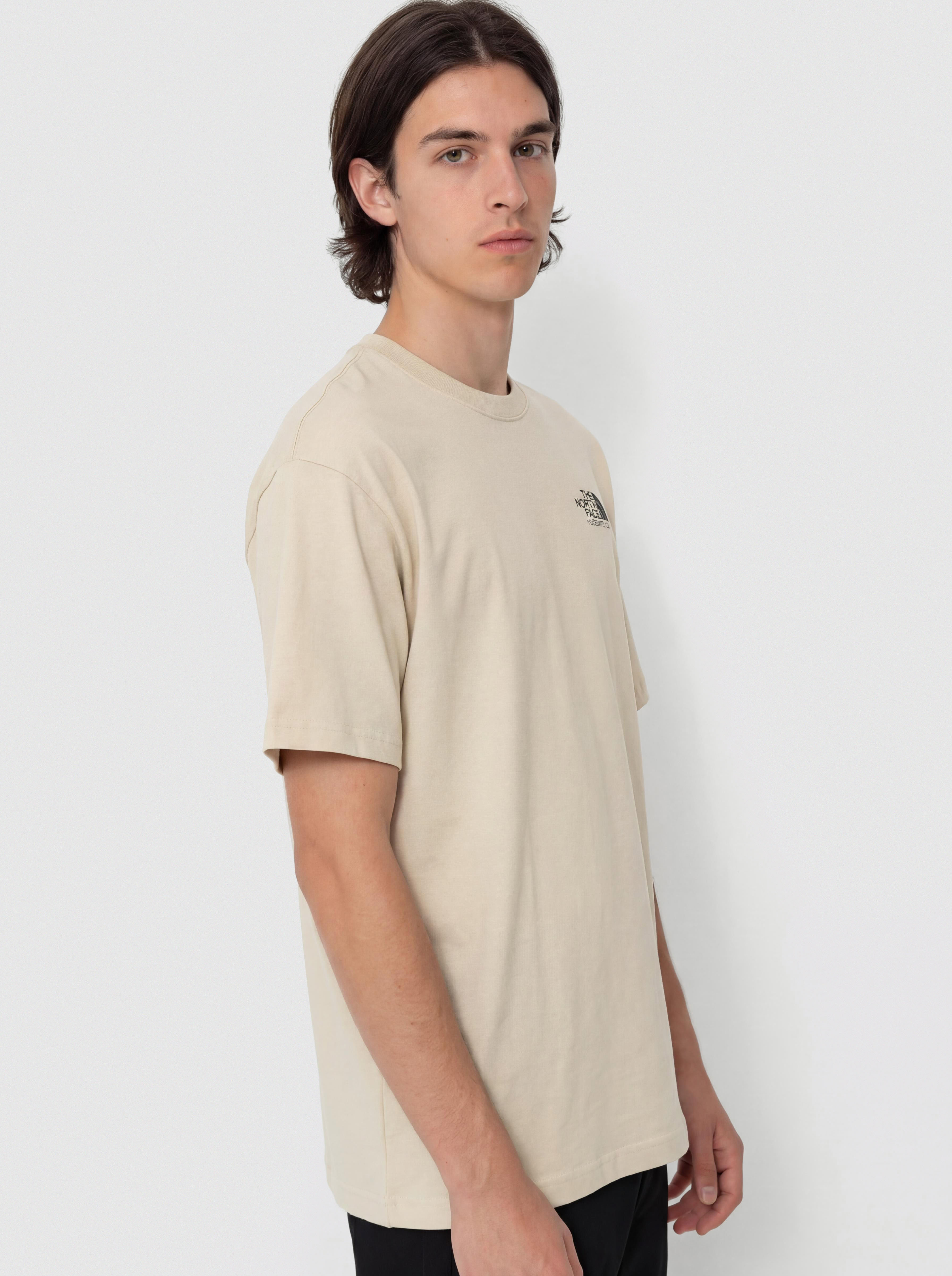 The North Face Plant & Flora Oversize T-Shirt (desert stone)