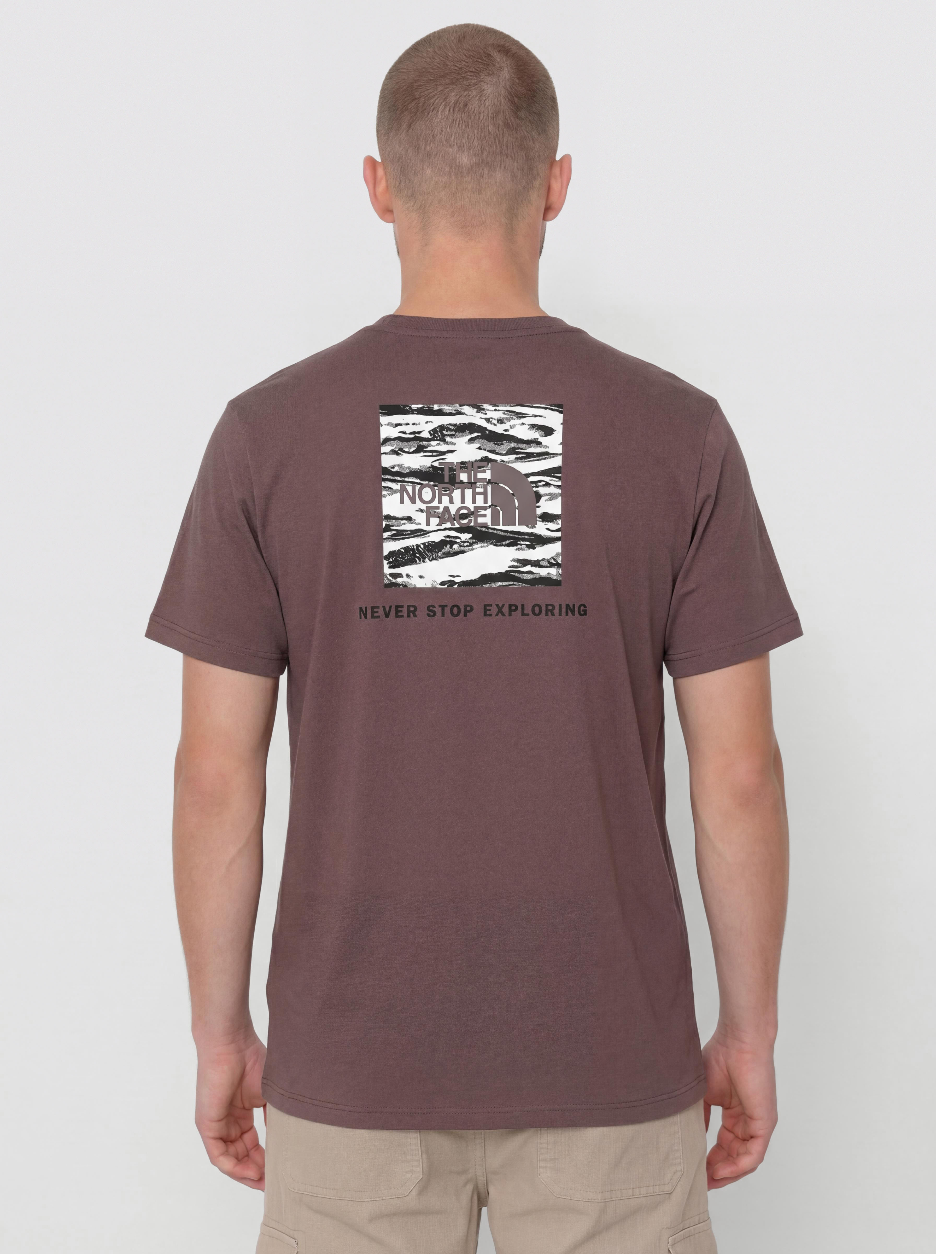 The North Face Box Nse Edge Of Light Infill Relaxed T-Shirt (tawny quartz/tnf black)