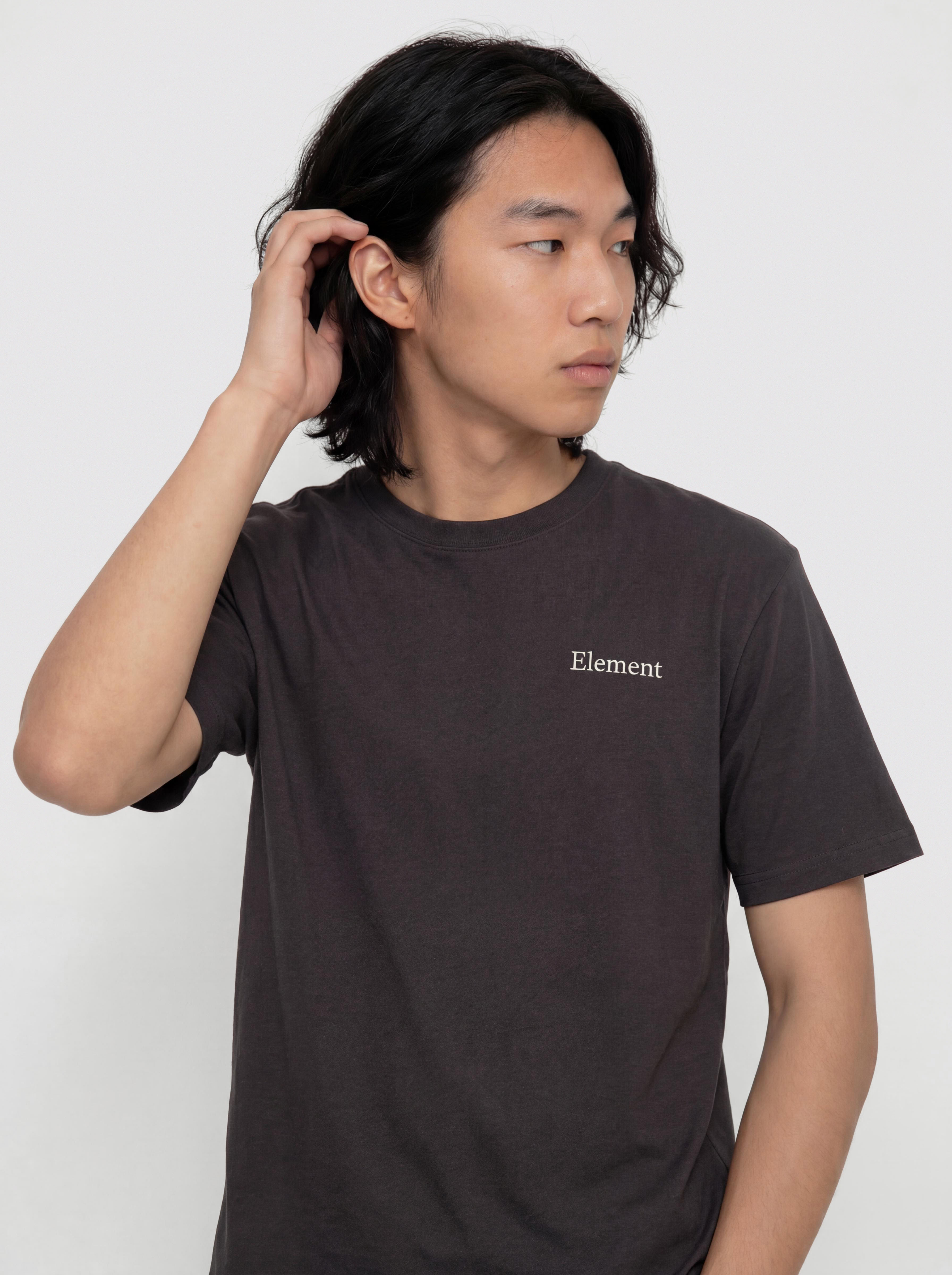 Element Sbxe Family T-Shirt (off black)
