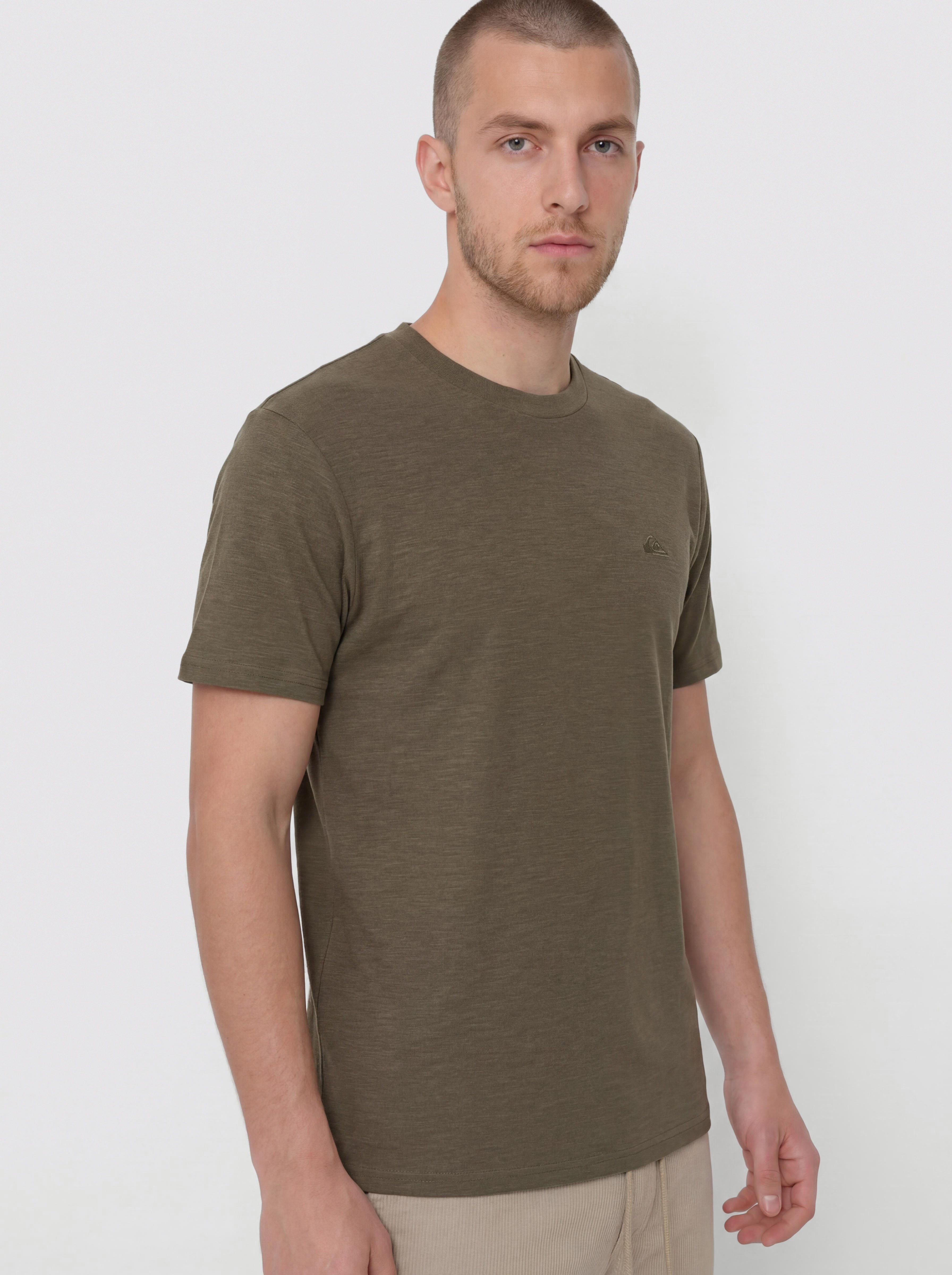 Quiksilver Slub Roundneck T-Shirt (grape leaf)