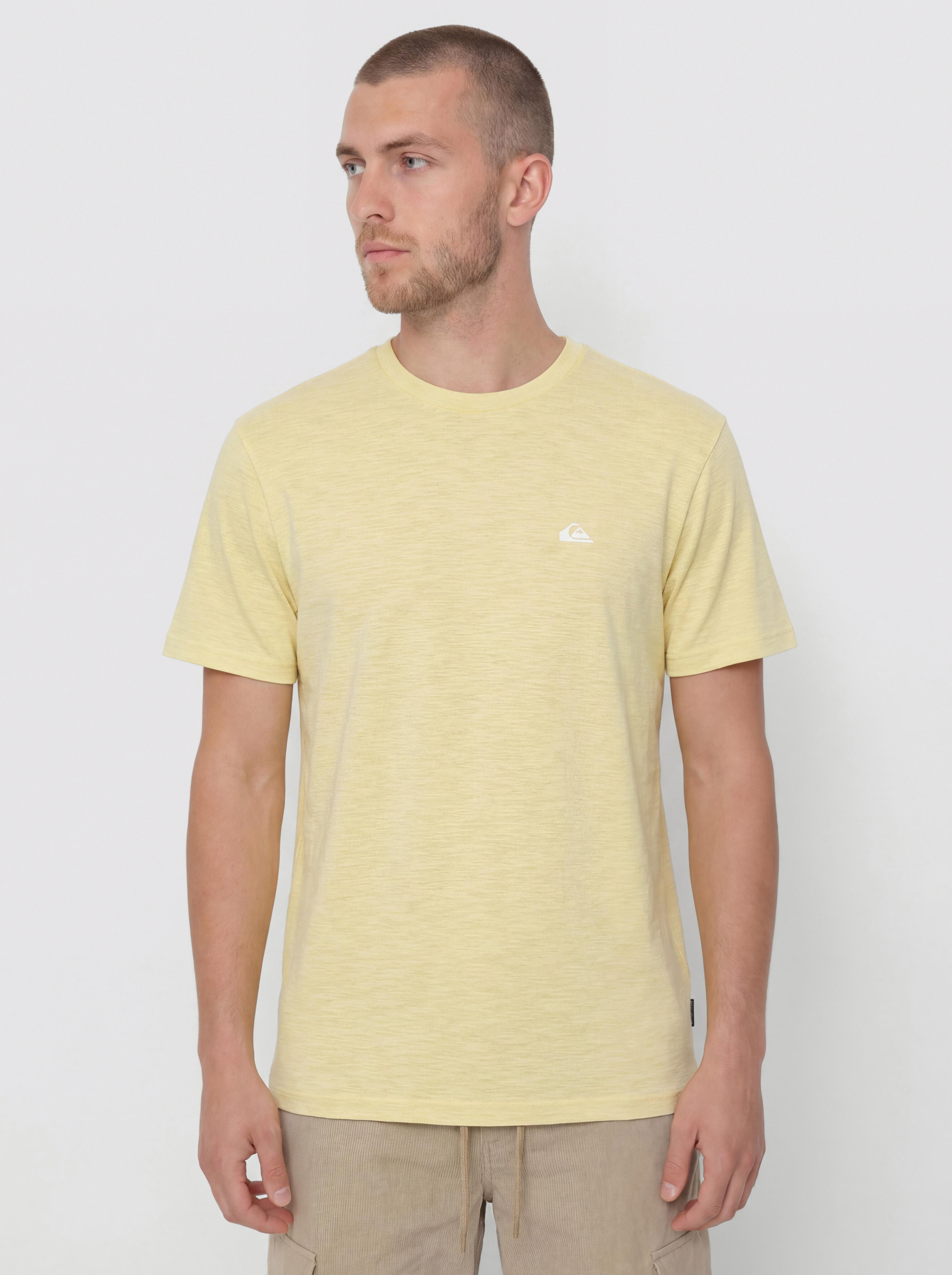 Quiksilver Slub Roundneck T-Shirt (garden glade)